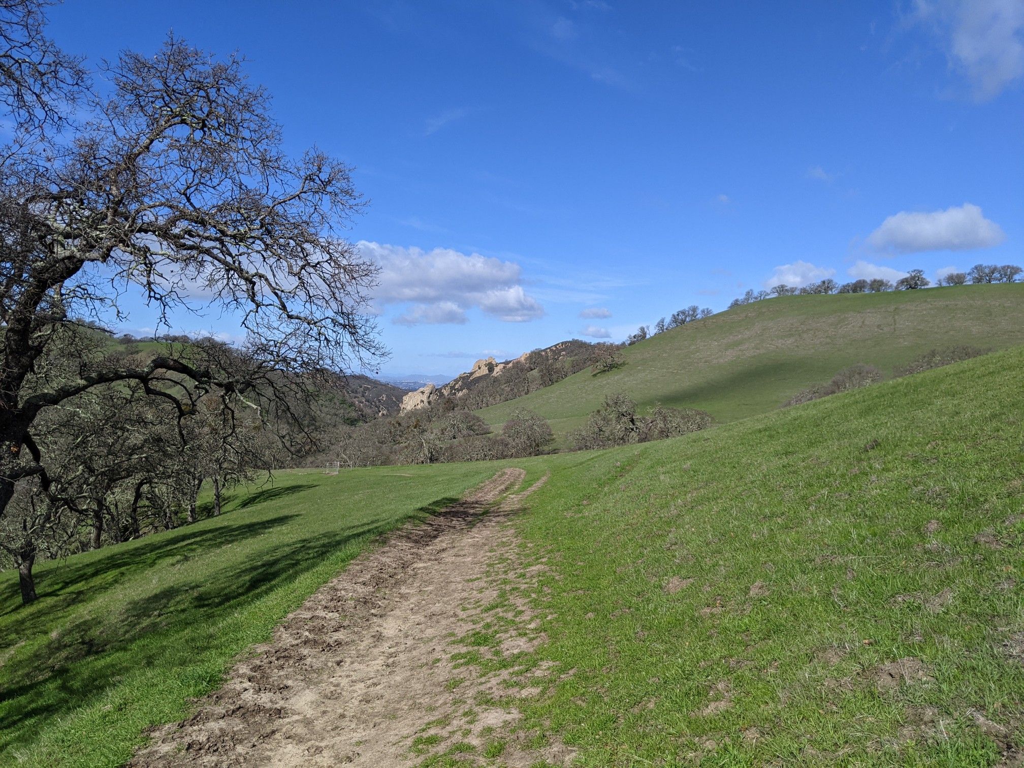 Dirt path winding through green hills with bare trees under a blue sky. - Stage and Wall Point Road Loop