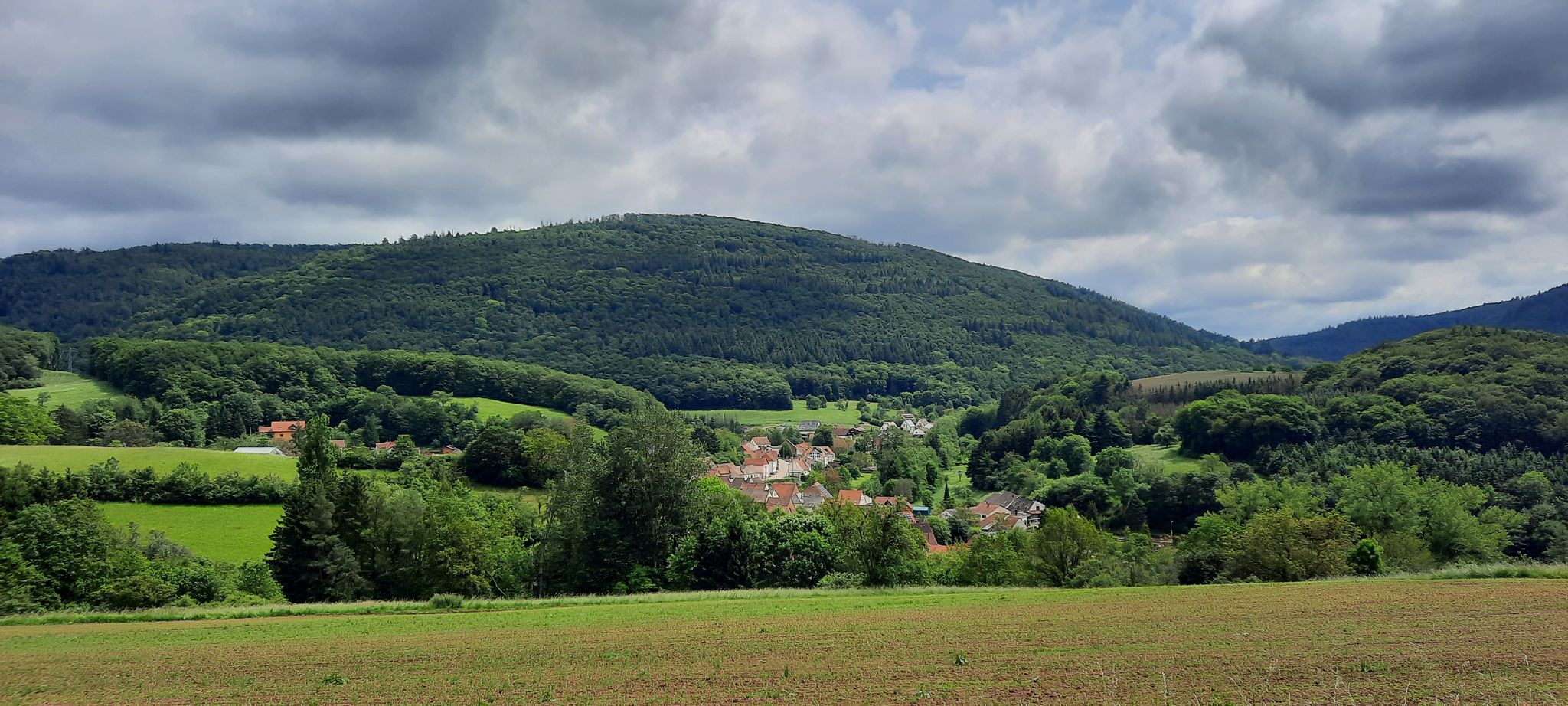 Blick auf Marienthal und dem Donnersberg