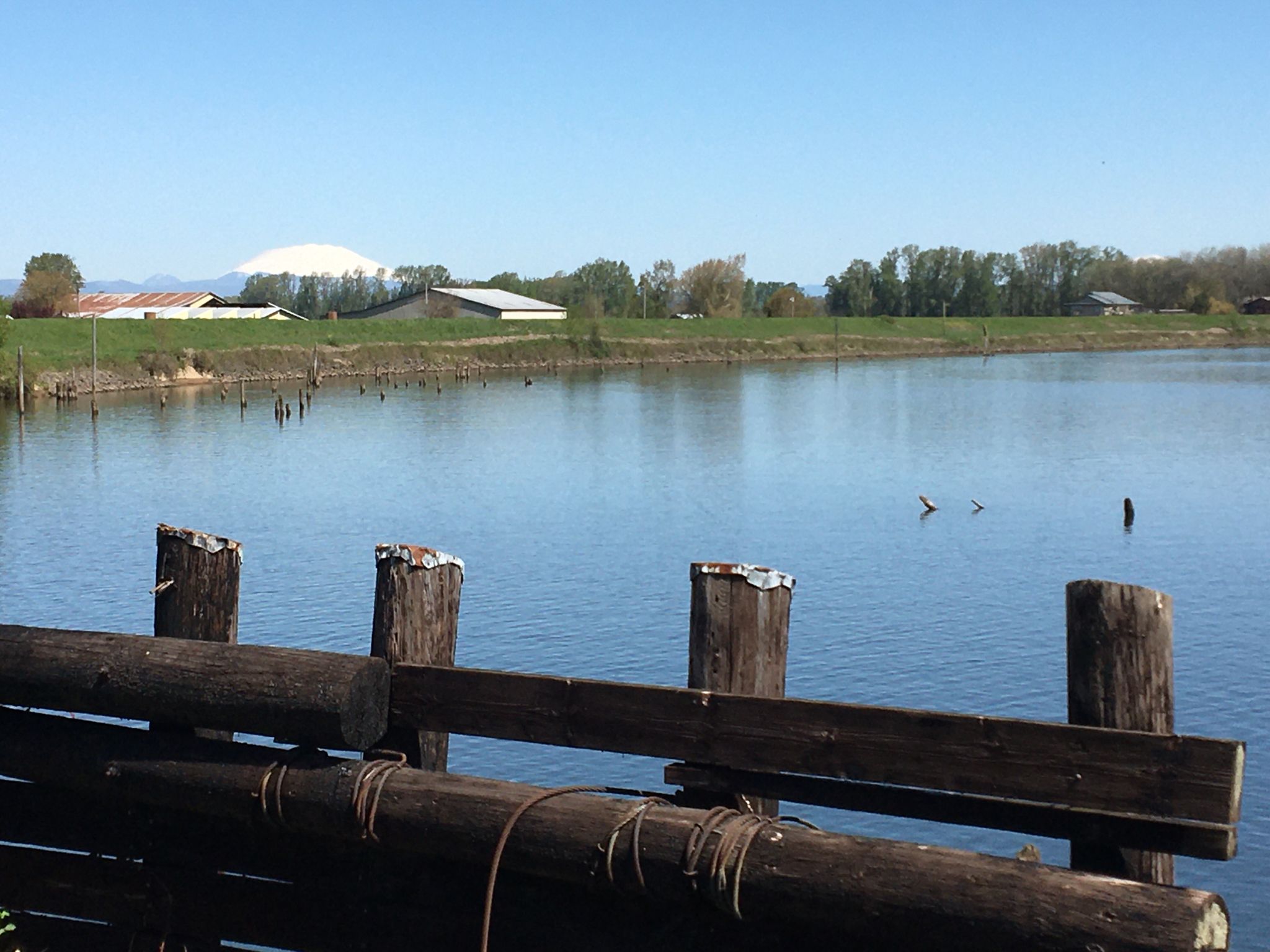 Calm water with wooden posts in foreground, distant buildings under clear sky. - Crown Zellerbach Trail