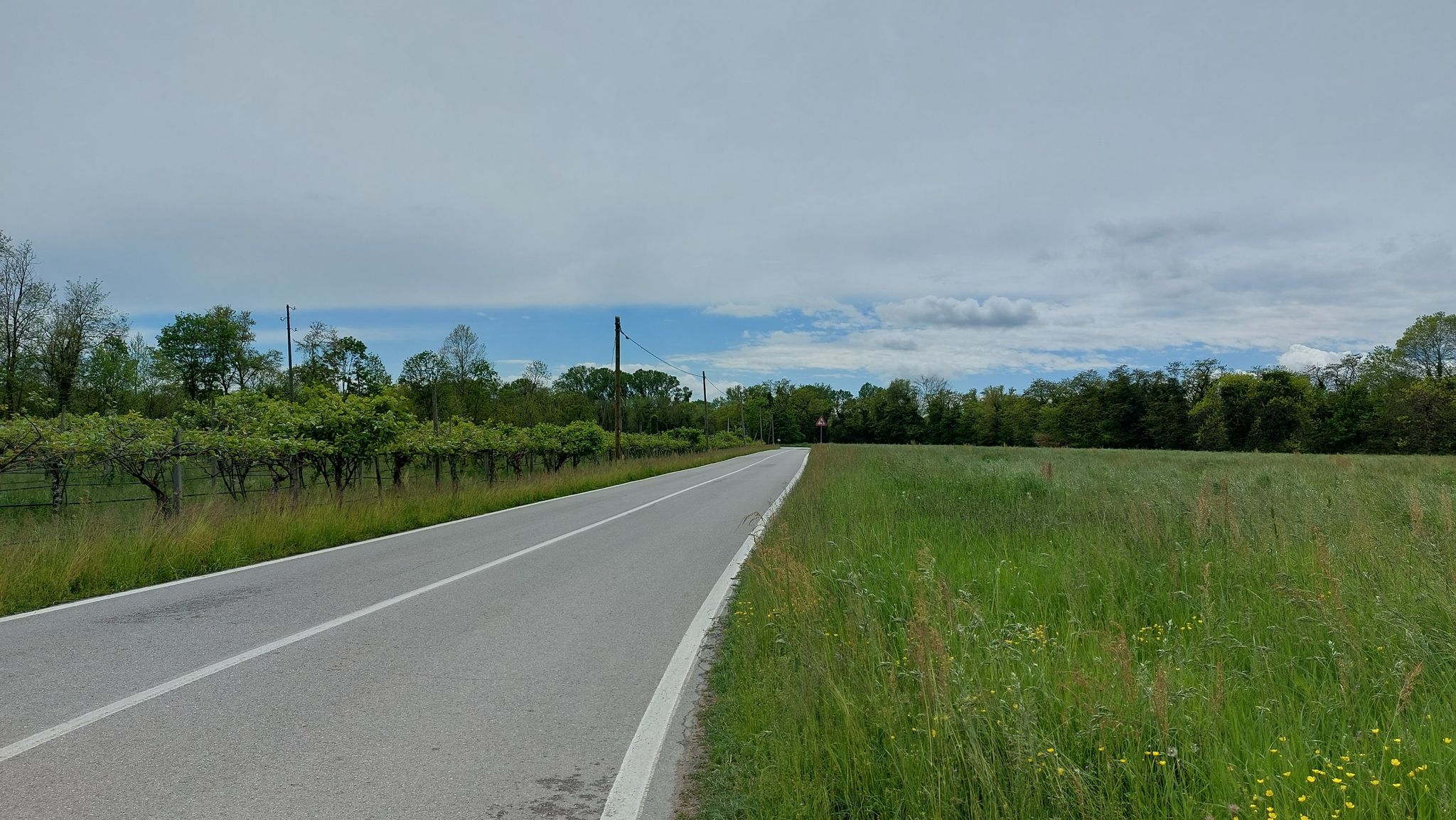Verso il fiume Brenta