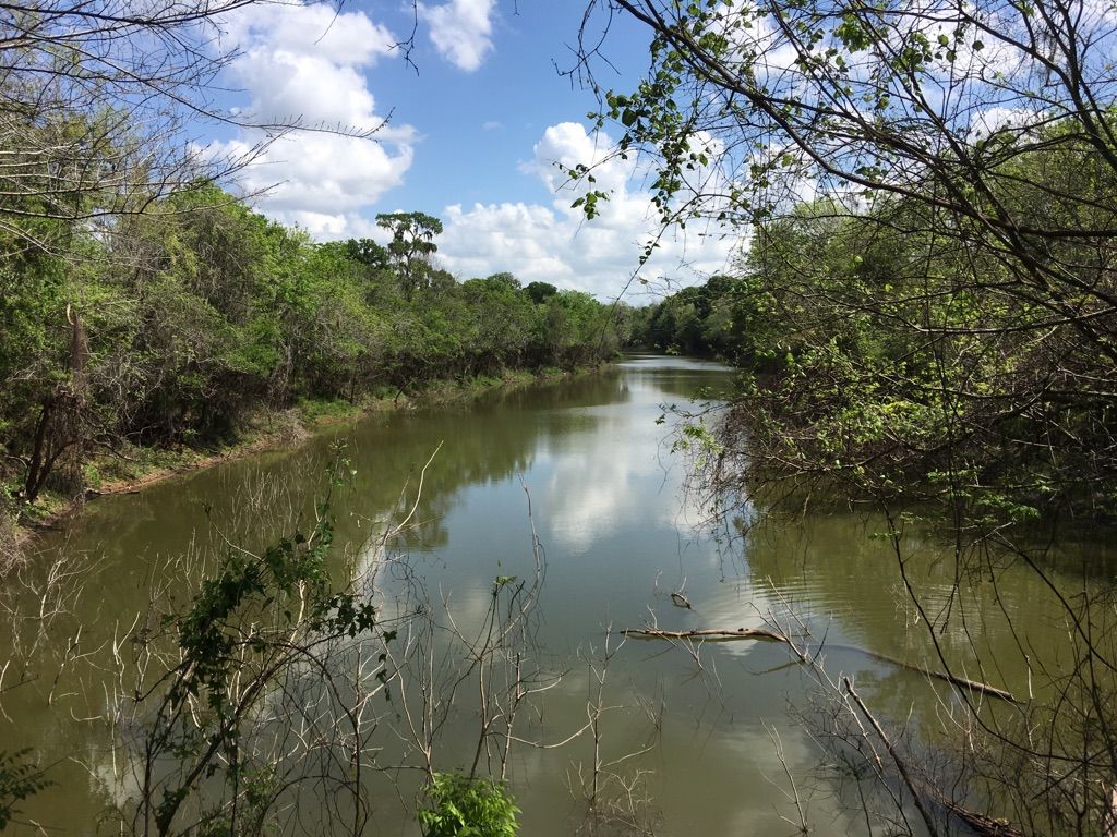 A calm river flows through dense green forest under a bright, cloudy sky. - Hale Lake Loop Trail