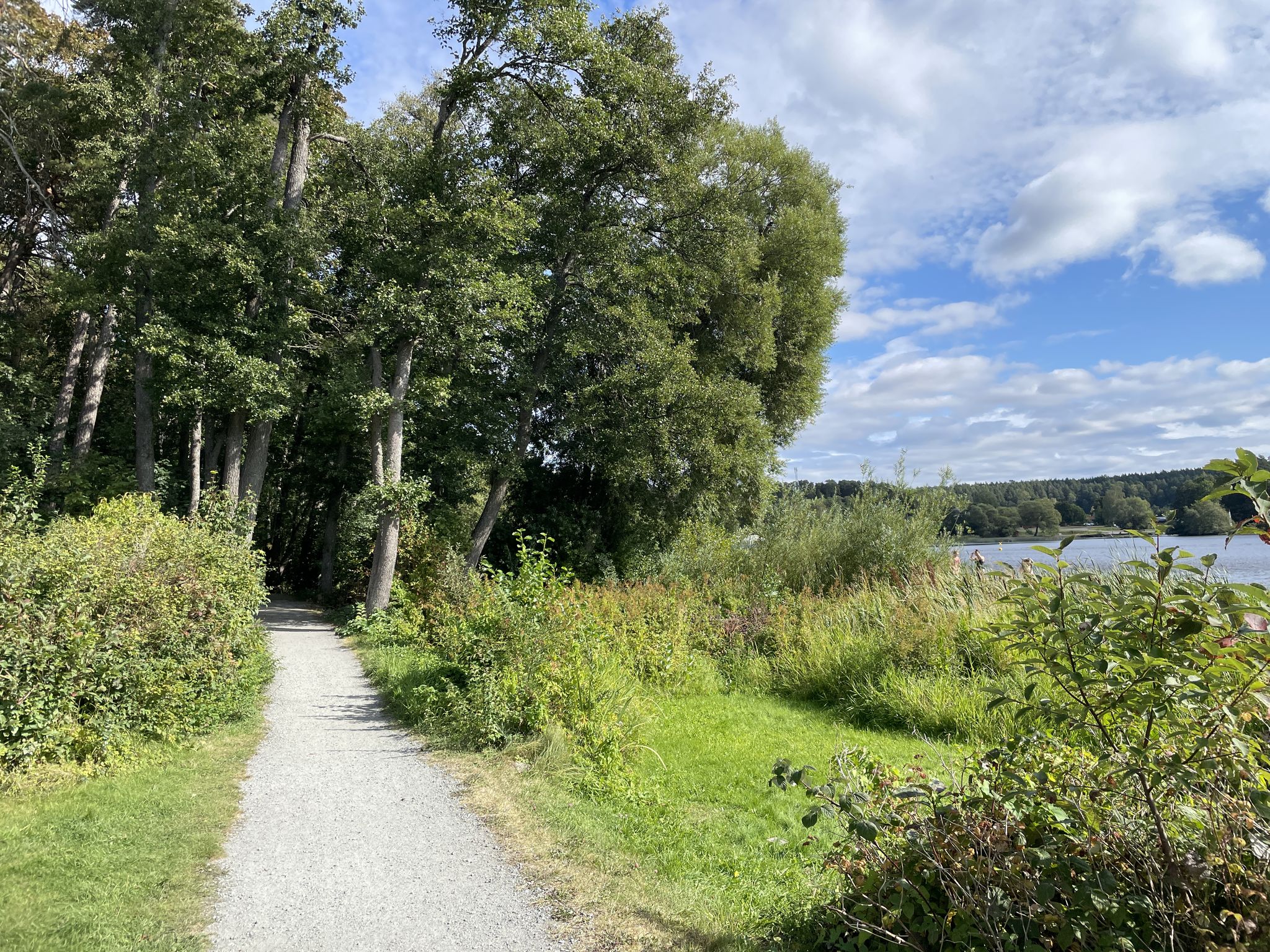 Along Ekoln (Mälaren)