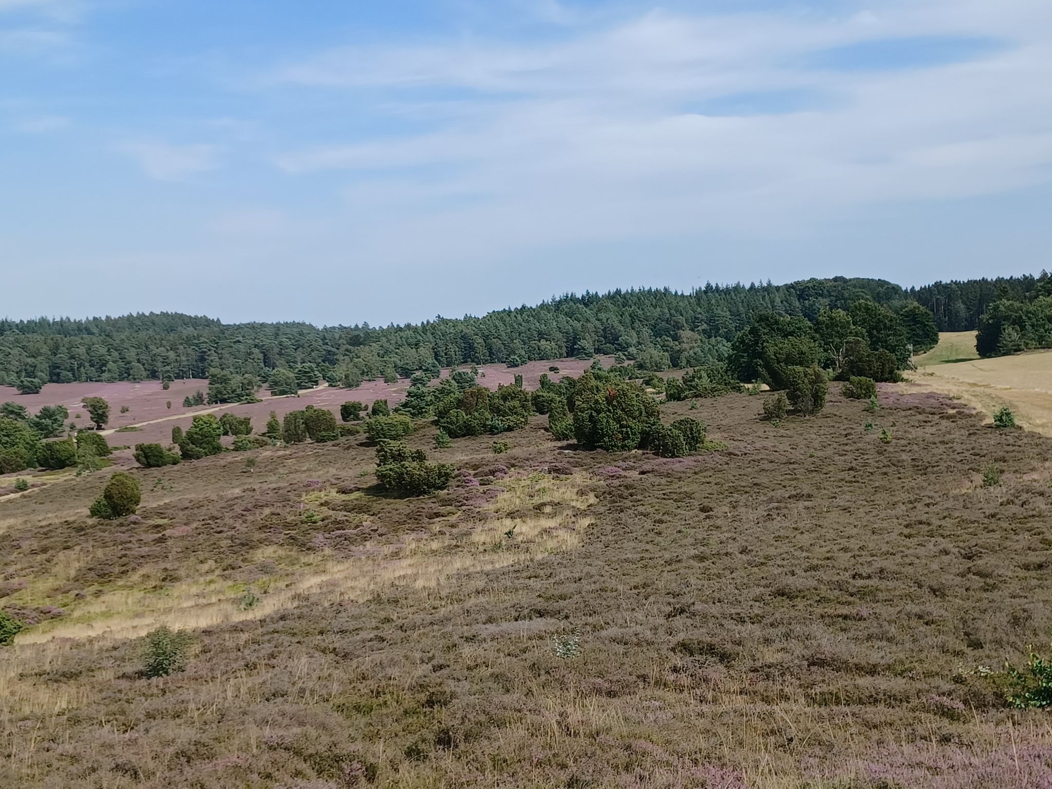 Blick vom Teufelsberg