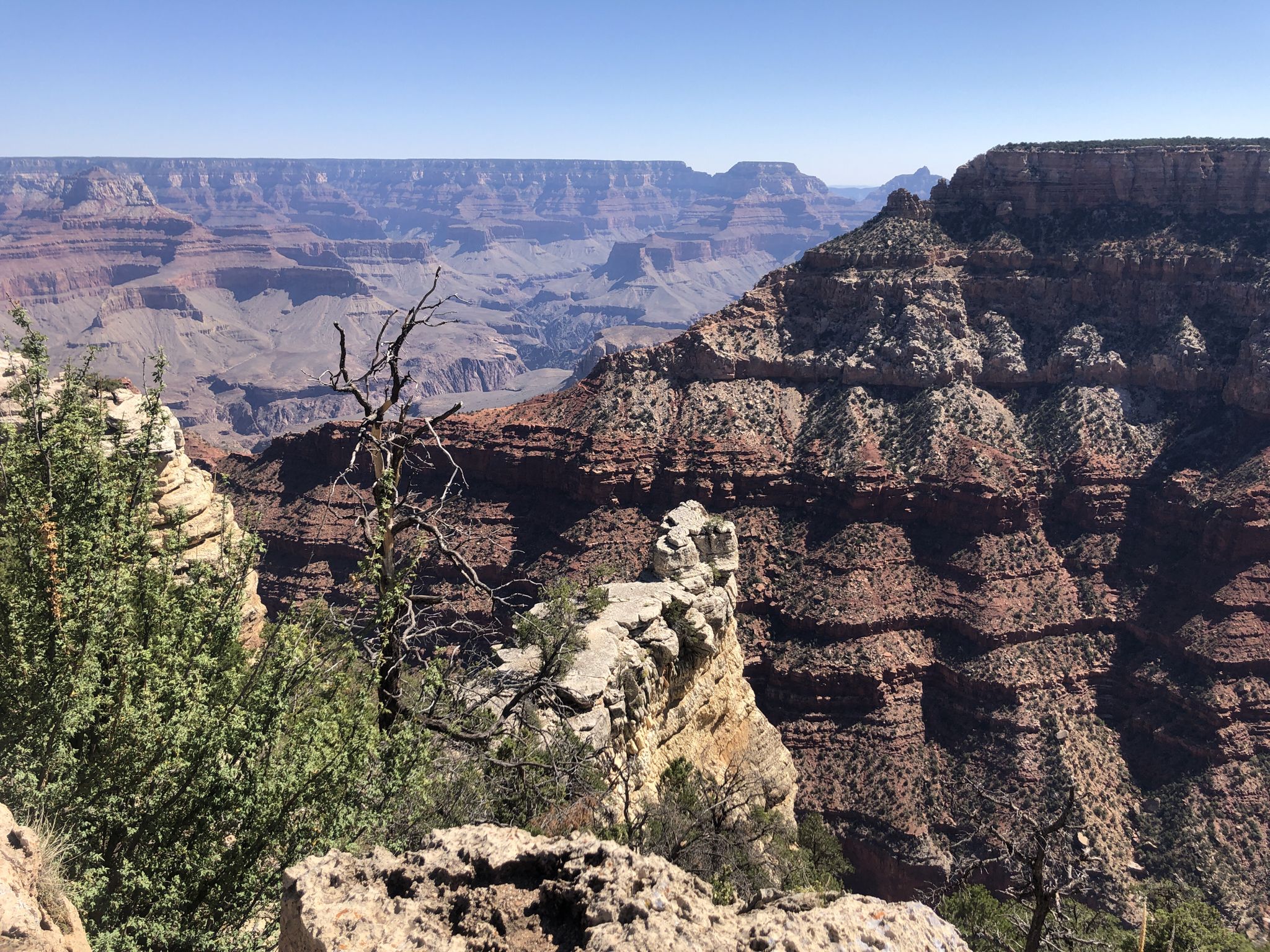Deep canyon with layered rock walls and green vegetation under a bright sky. - Grand Canyon Greenway Trail