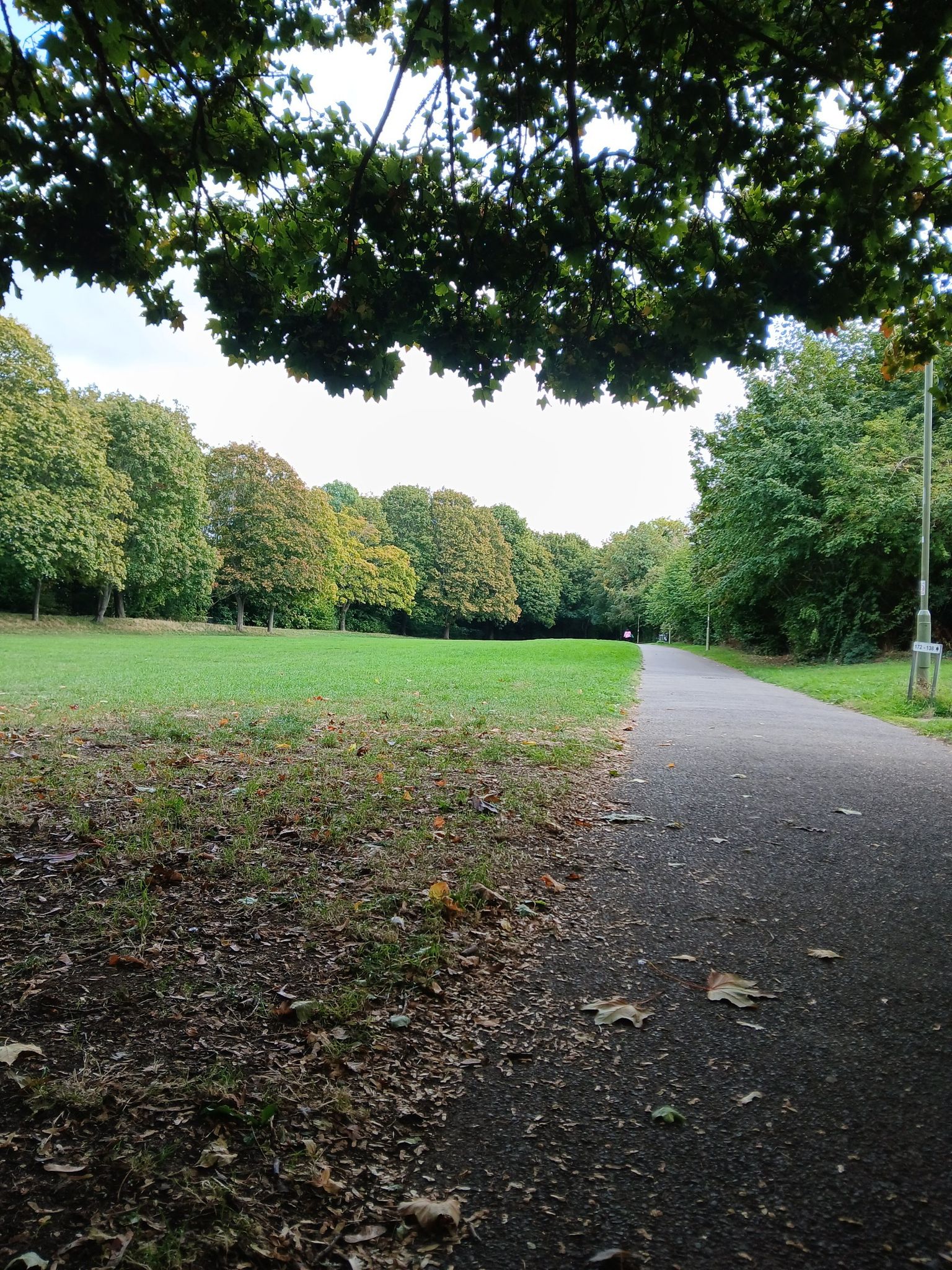 accessible path