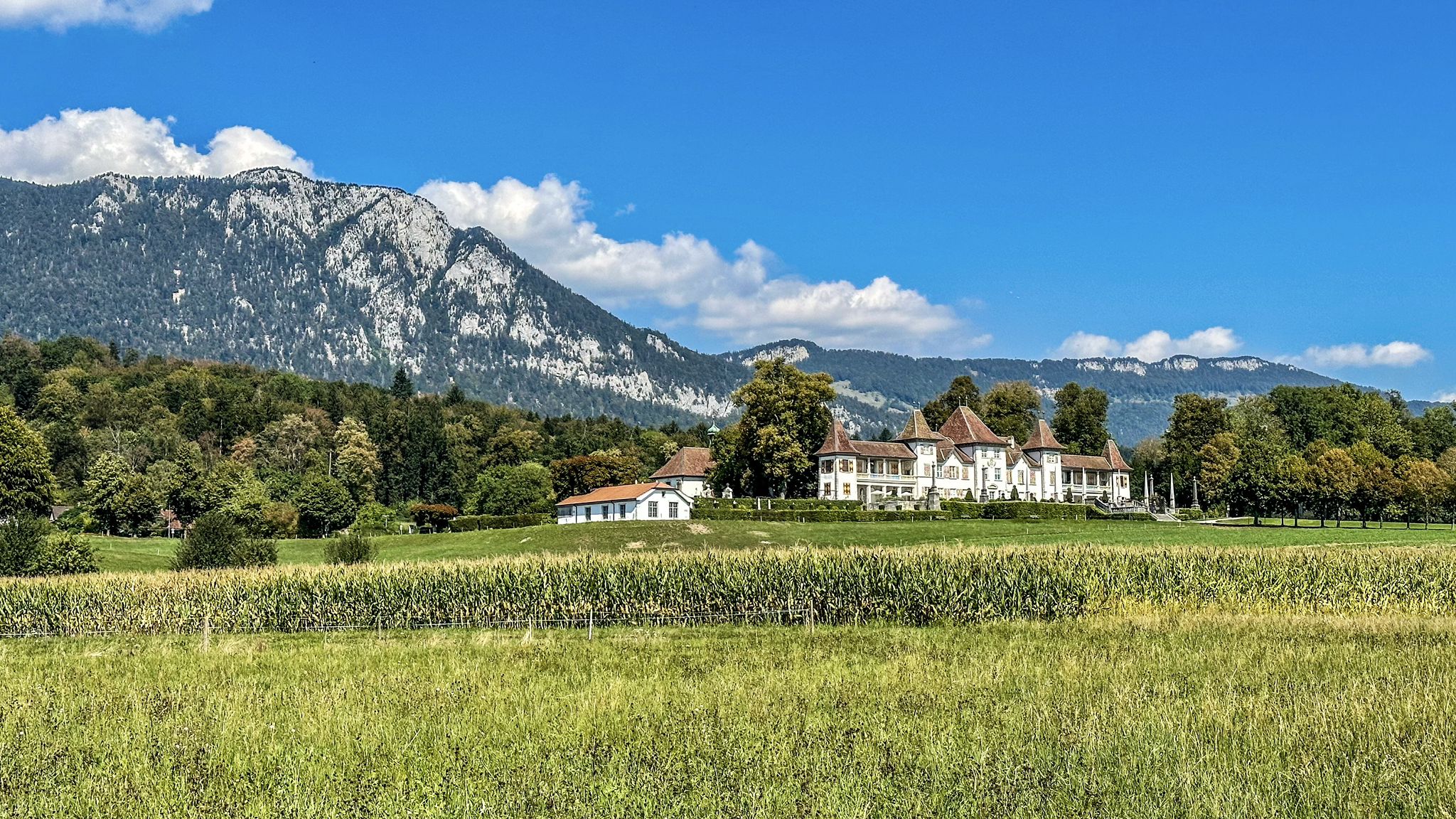 ...Schloss Waldegg - ein Gang ins Museum vielleicht🙃?
