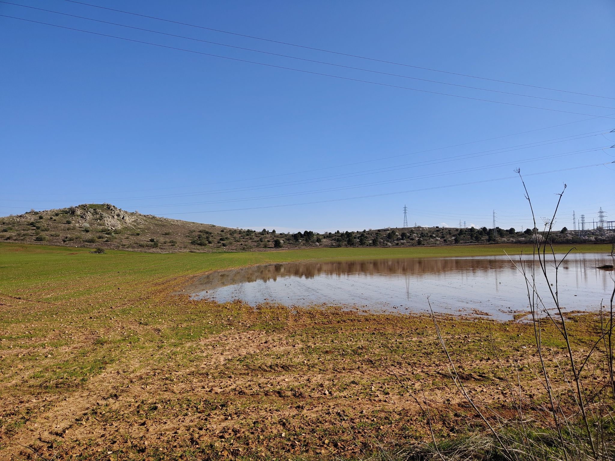Laguna Poblete