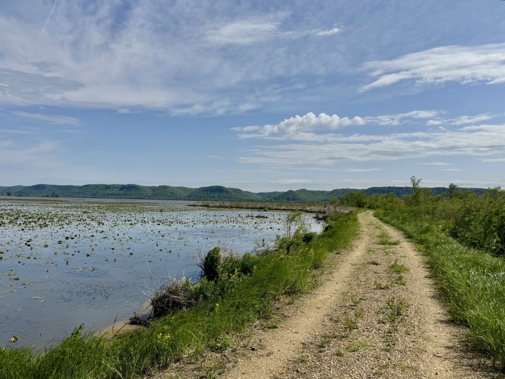 Delta Point Trail