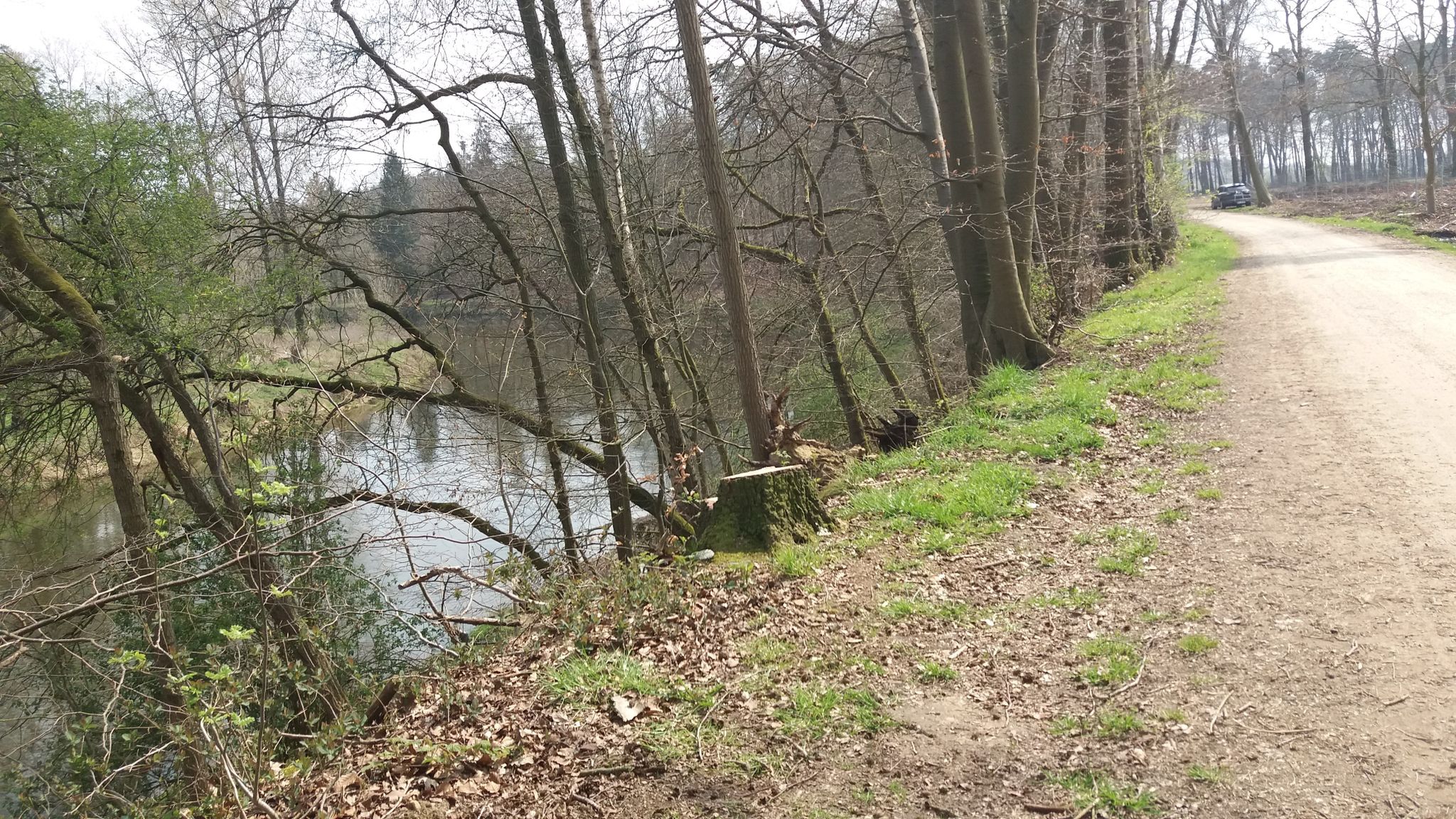 Ems im Ahlder Wald
