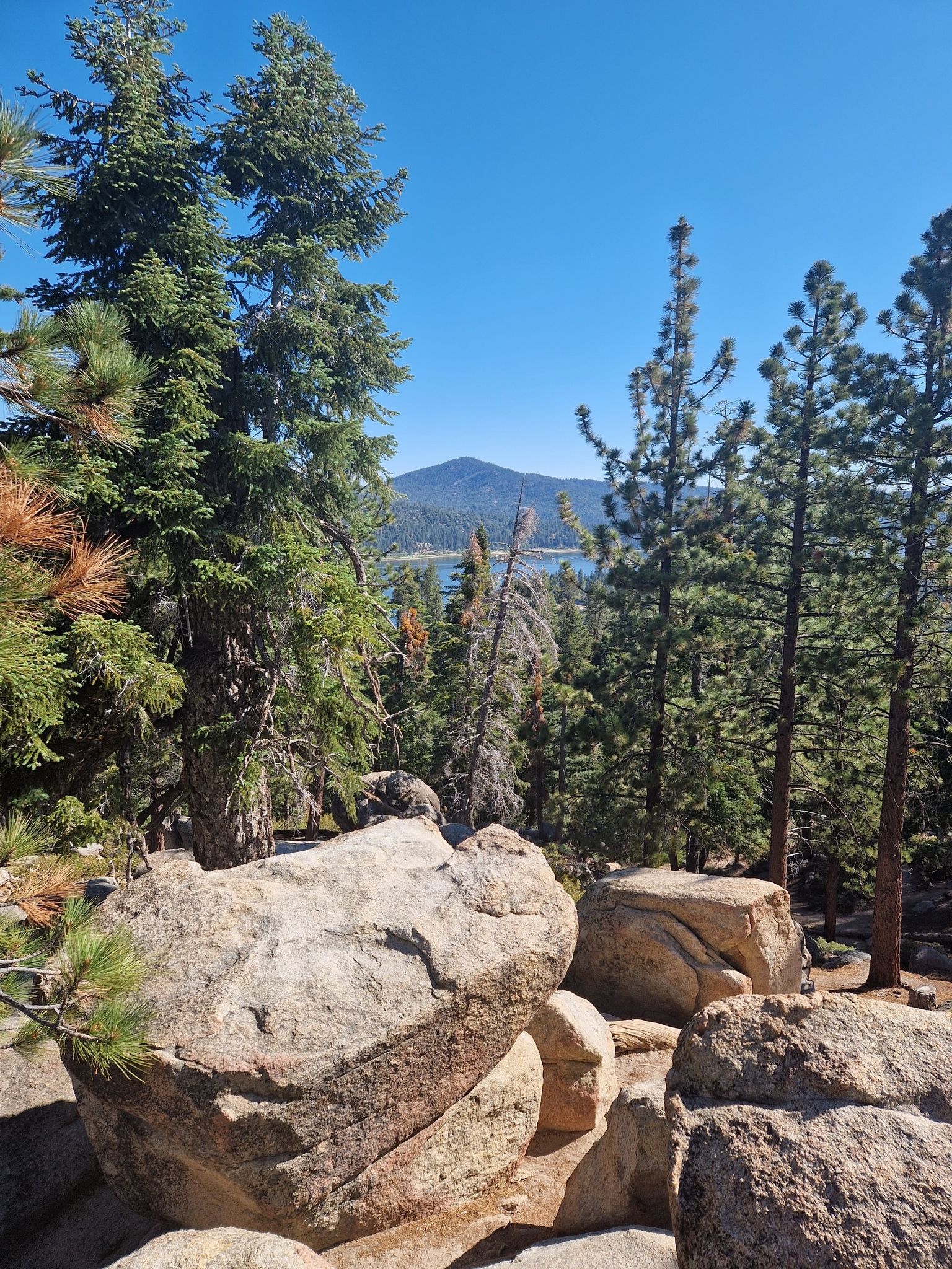 Large rocks and pine trees frame a distant lake and mountain under clear sky. - Champion Lodgepole via Castle Rock Trail