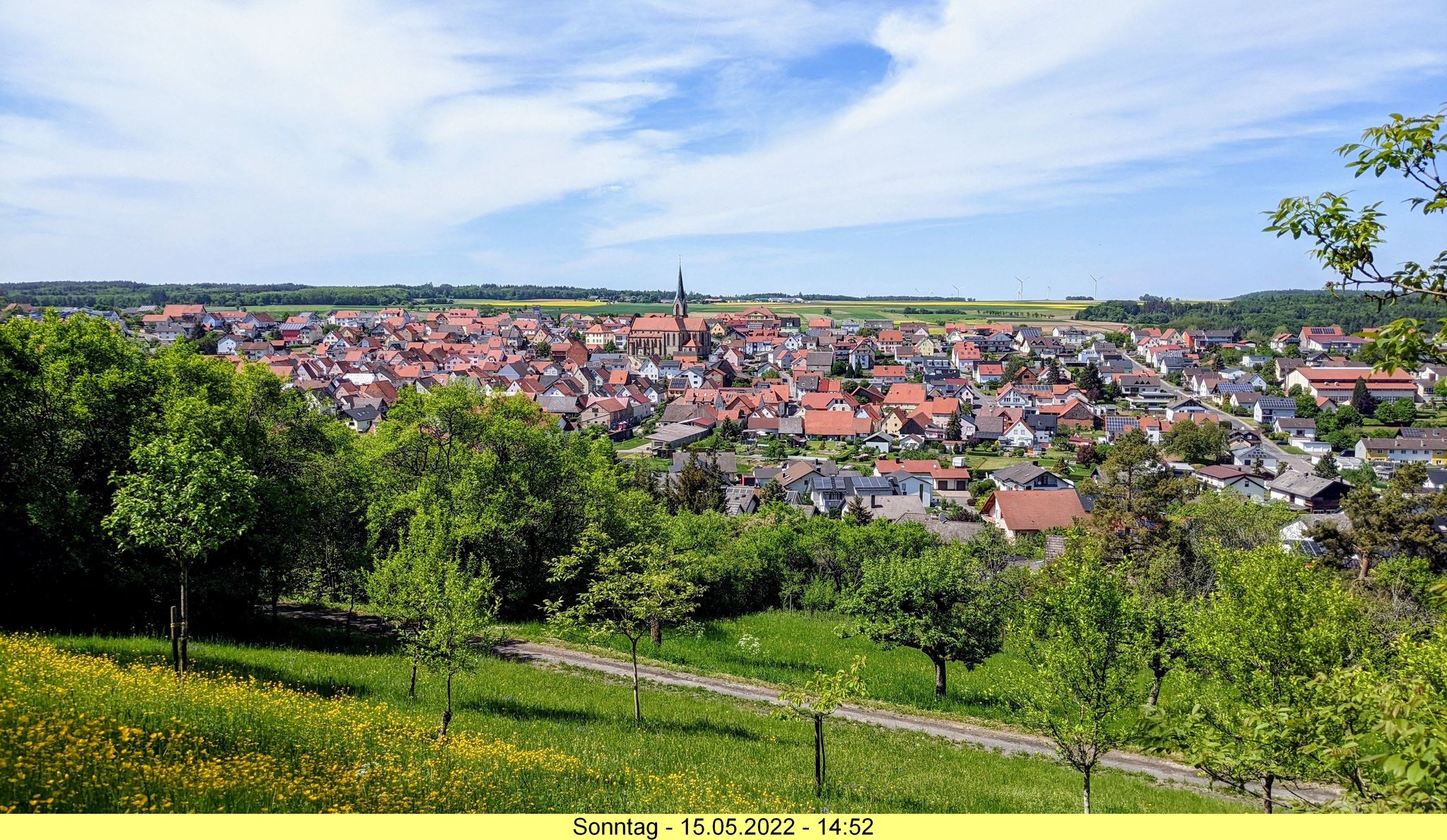 Blick auf Höpfingen