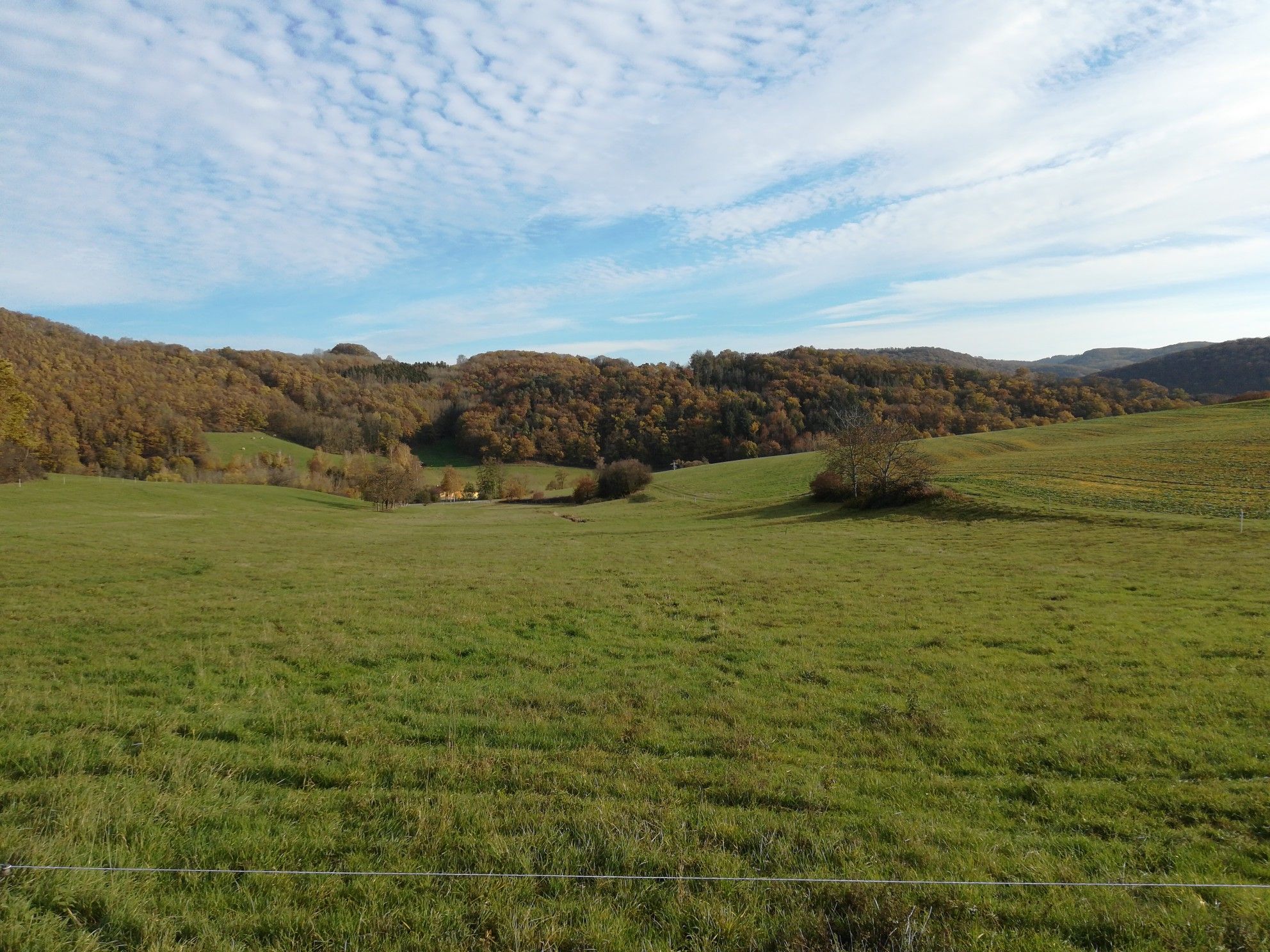 Aussicht 