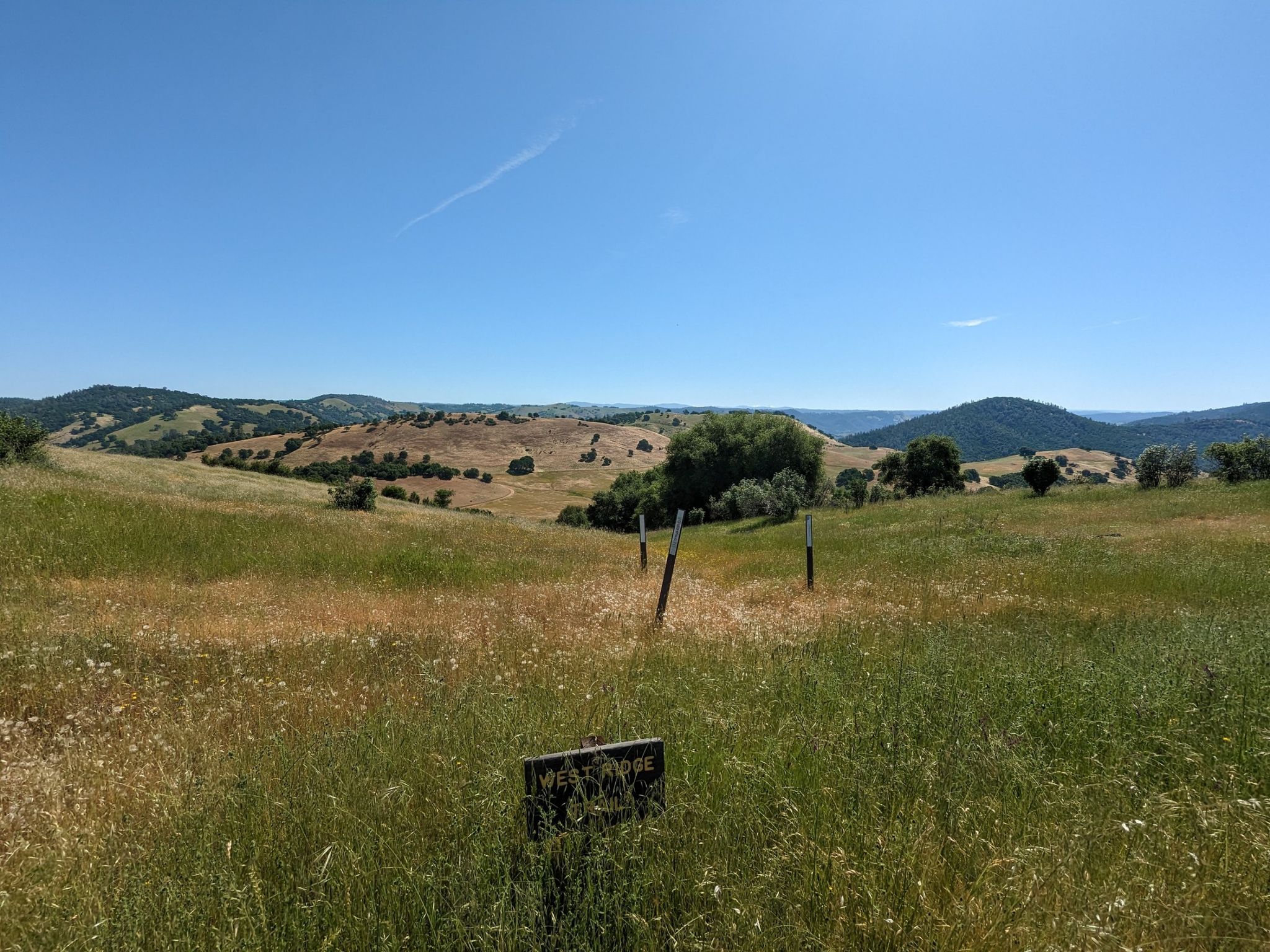 Expansive view of sunny, rolling grassy hills under a clear blue sky. - Acorn Creek Trail loop from Cronan Ranch