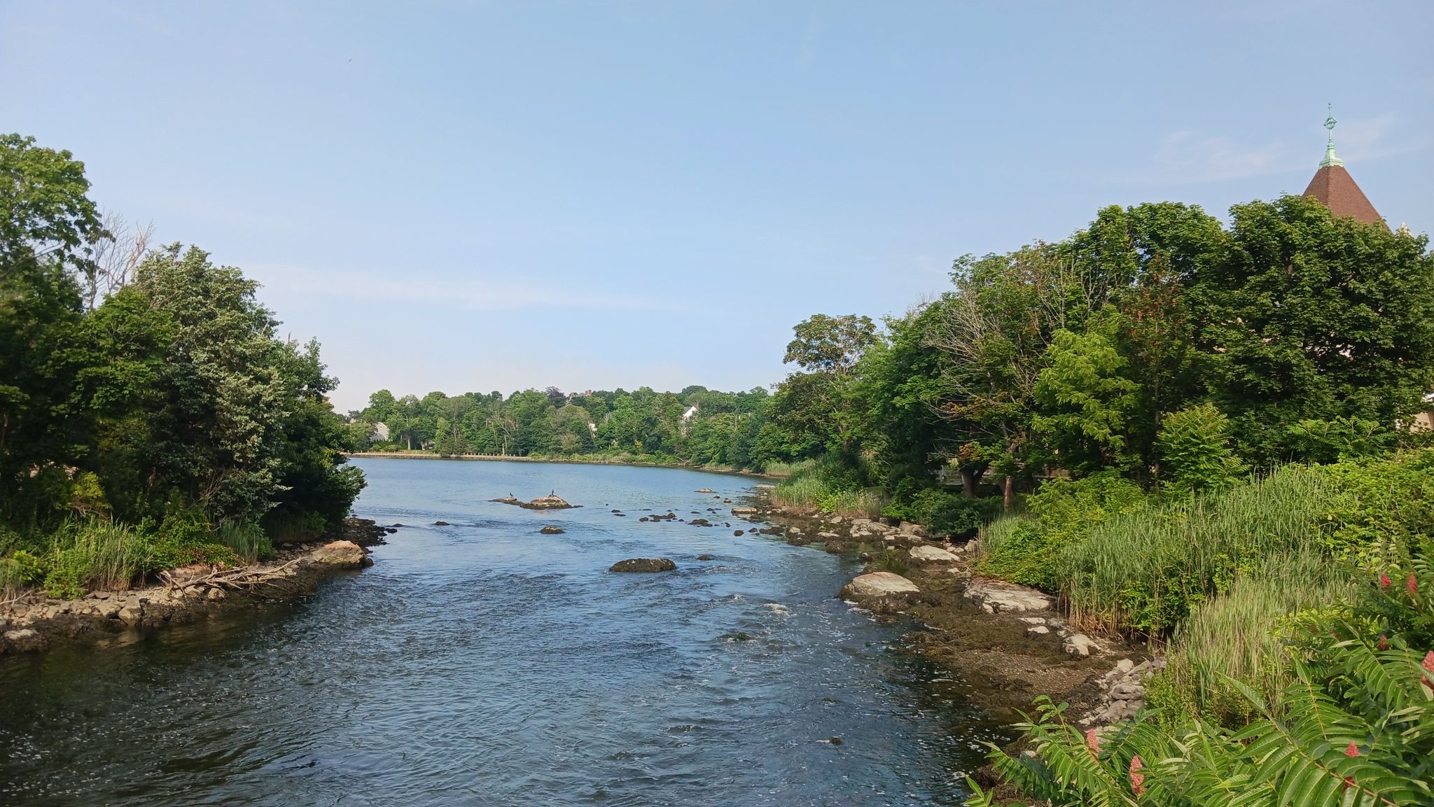 A wide river flows between lush green banks under a clear blue sky. - Scituate Light – Atlantic Avenue loop from West Hingham