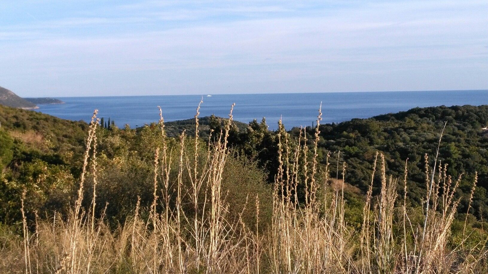 Molut: View South -> Direction MNE