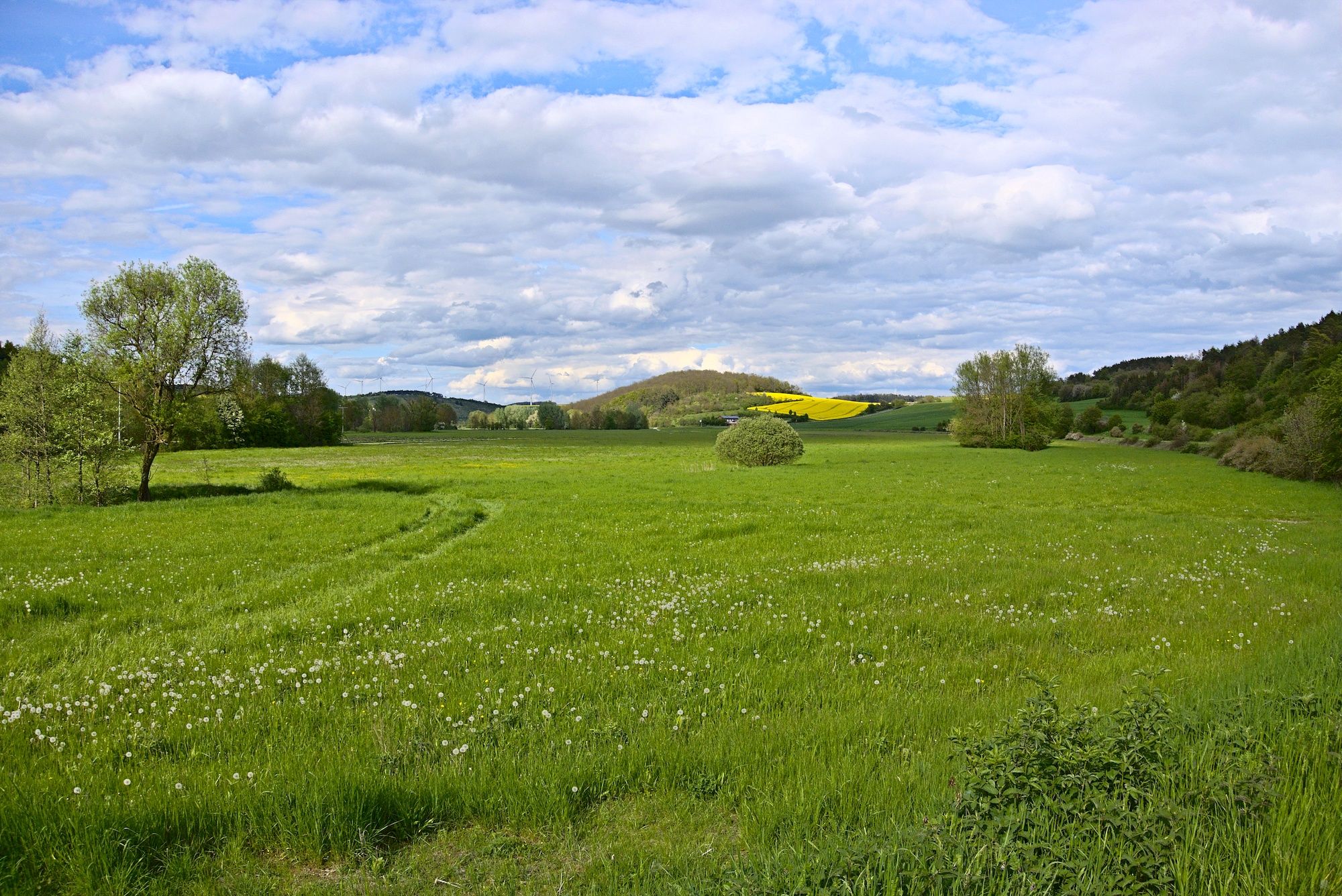 Blick ins Saaletal vor Bad Neustadt an der Saale