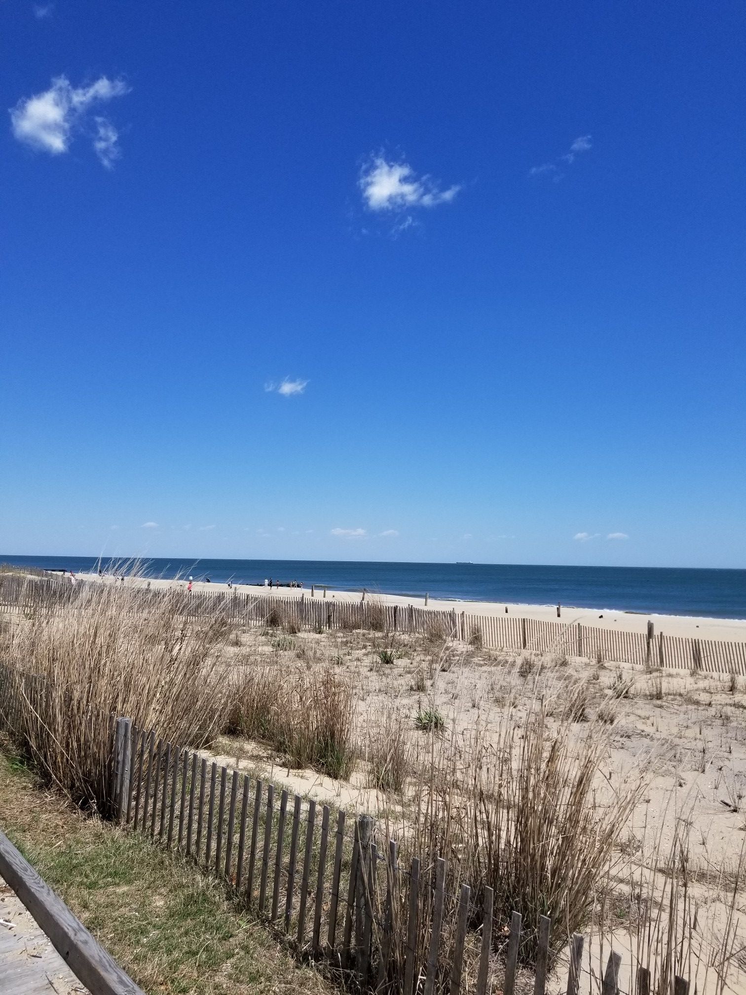 Bright sunny day over a sandy beach with ocean, dune grass, and fence. - Rehoboth Beach Boardwalk
