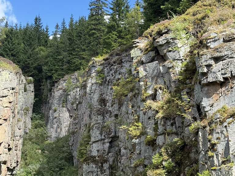 Johanngeorgenstadt - Wolfspinge - Plattenberg | Wanderung | Komoot