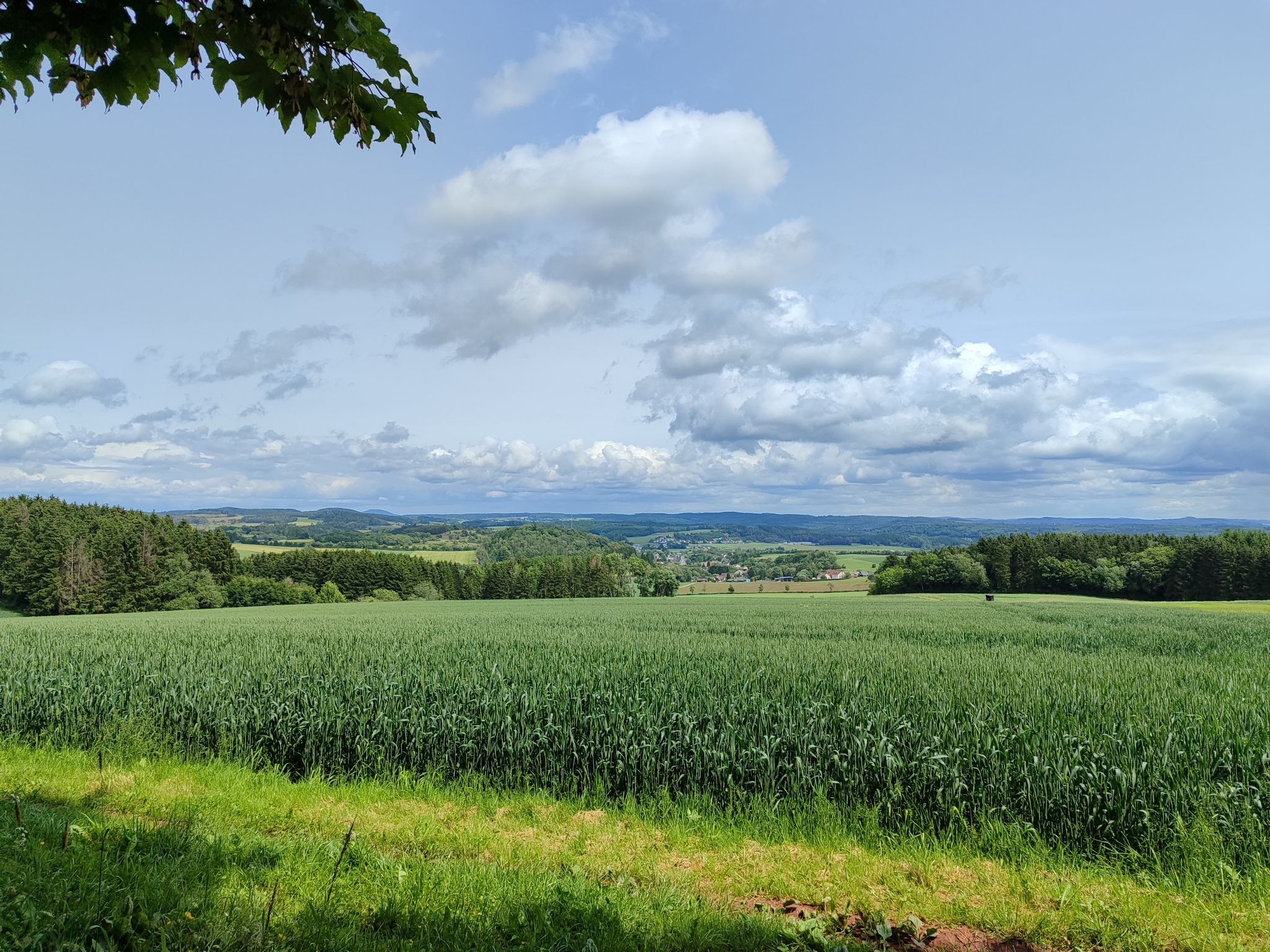 Blick aus der Hütte