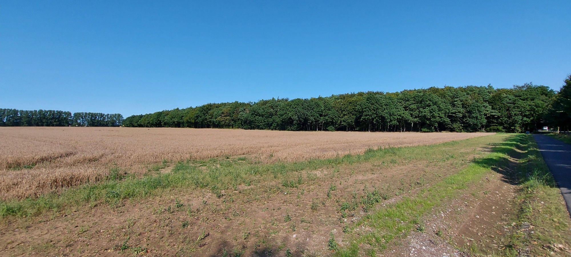 schöne Aussichten