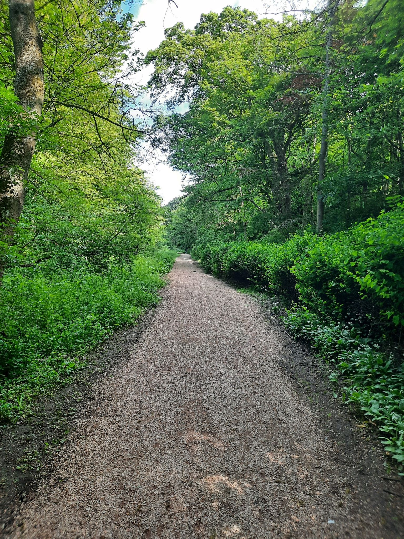 Five Pilgrim Way