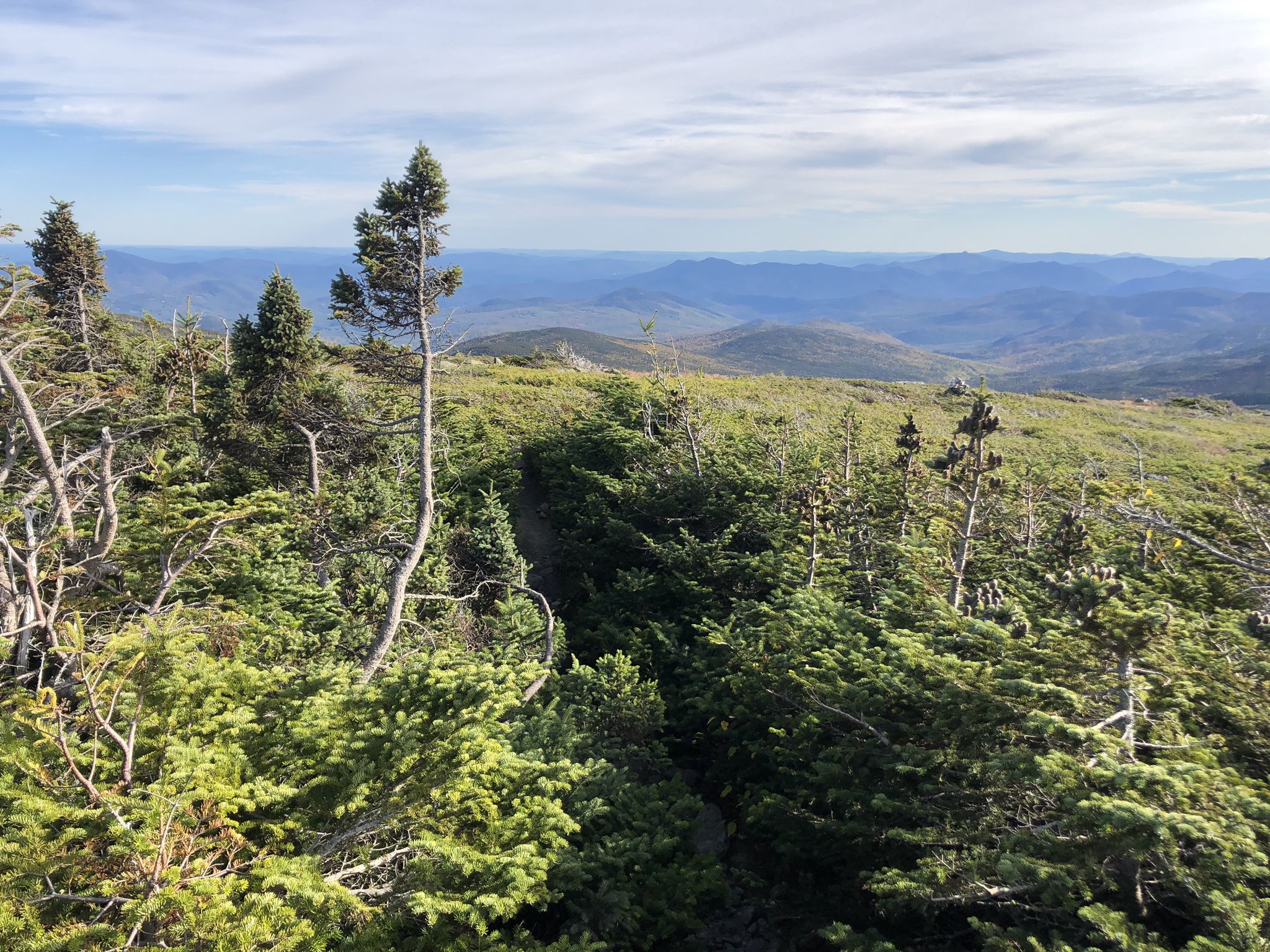 Expansive mountain vista with evergreen trees under a bright, clear sky. - Mount Isolation via Glen Boulder Trail