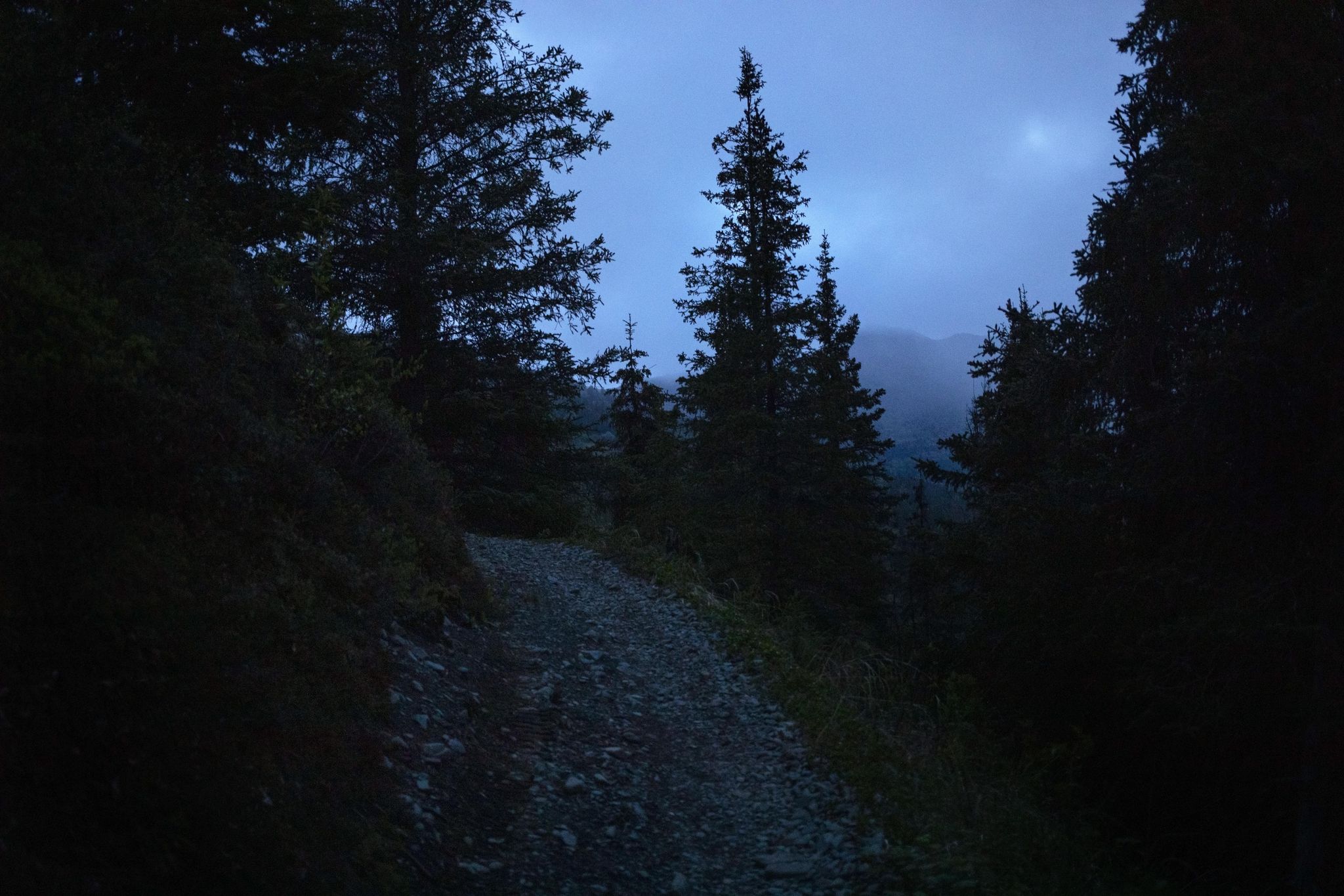 A dark, rocky path winds through a dense, shadowy evergreen forest at dusk. - Resurrection Pass Trail
