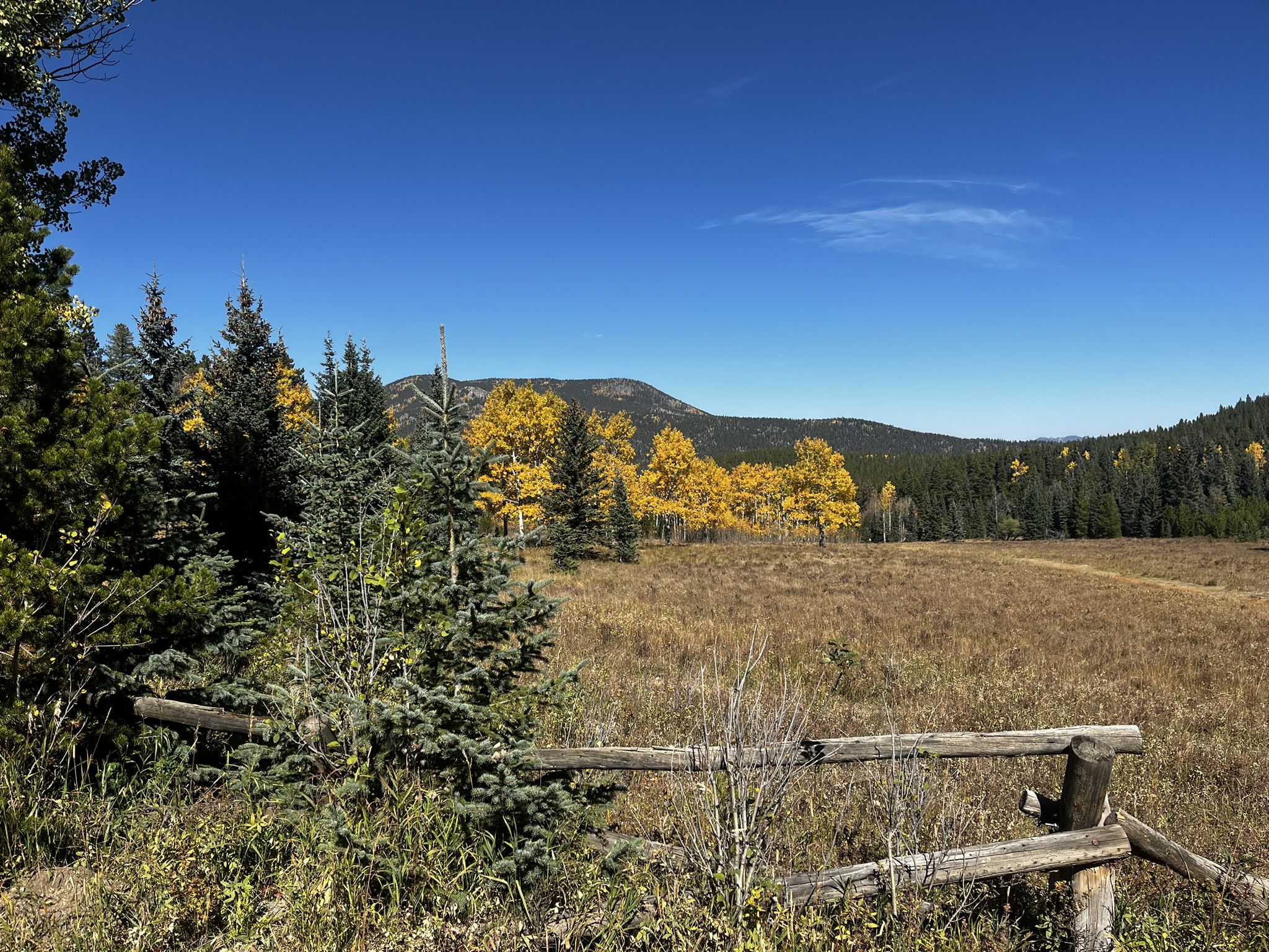 Sunny autumn meadow with golden trees, pine forest, and distant mountains. - Witter Gulch Road – Mestaa'Ėhehe Pass Summit loop from Hidden Valley