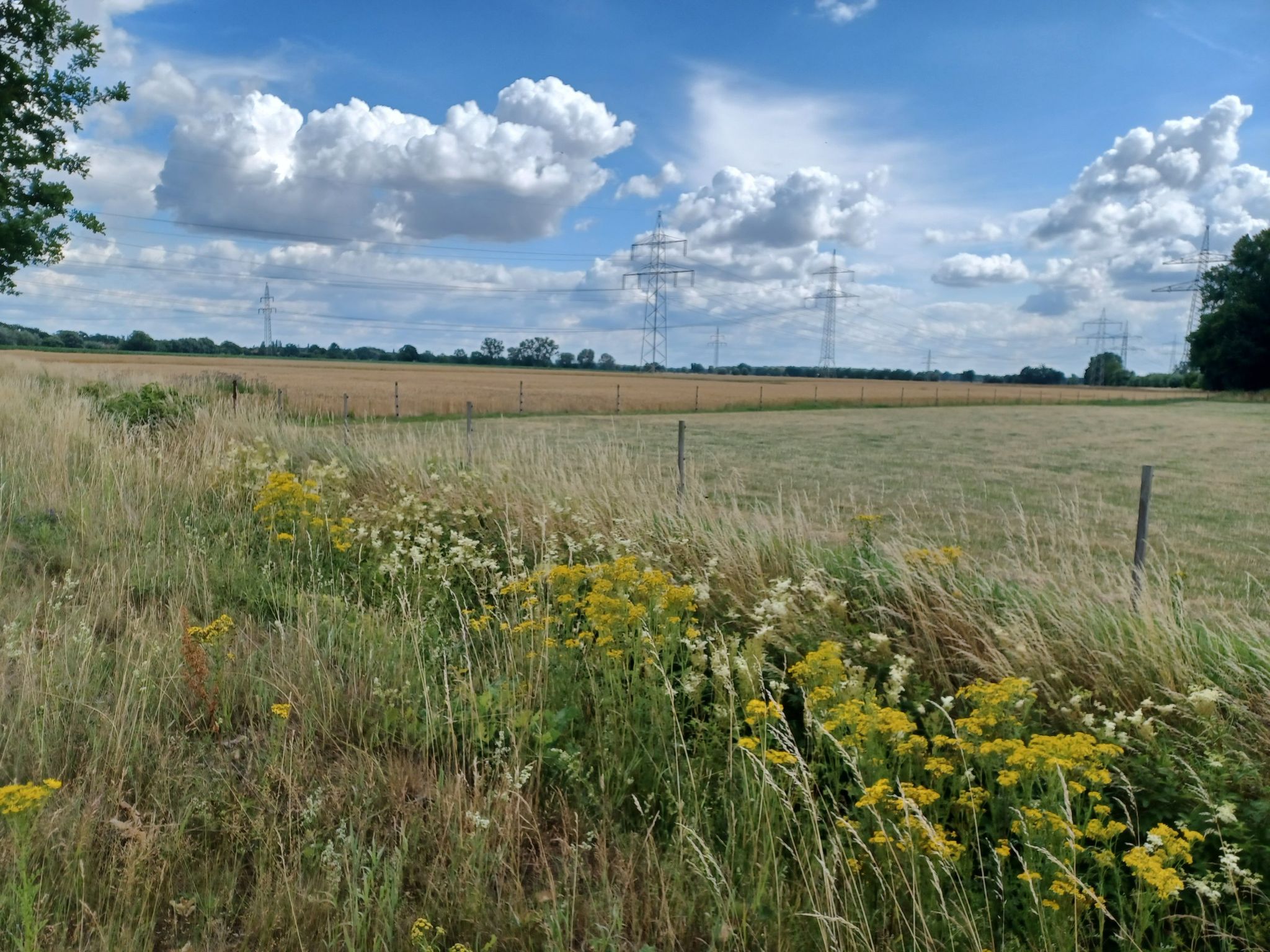 sonnige Radtour