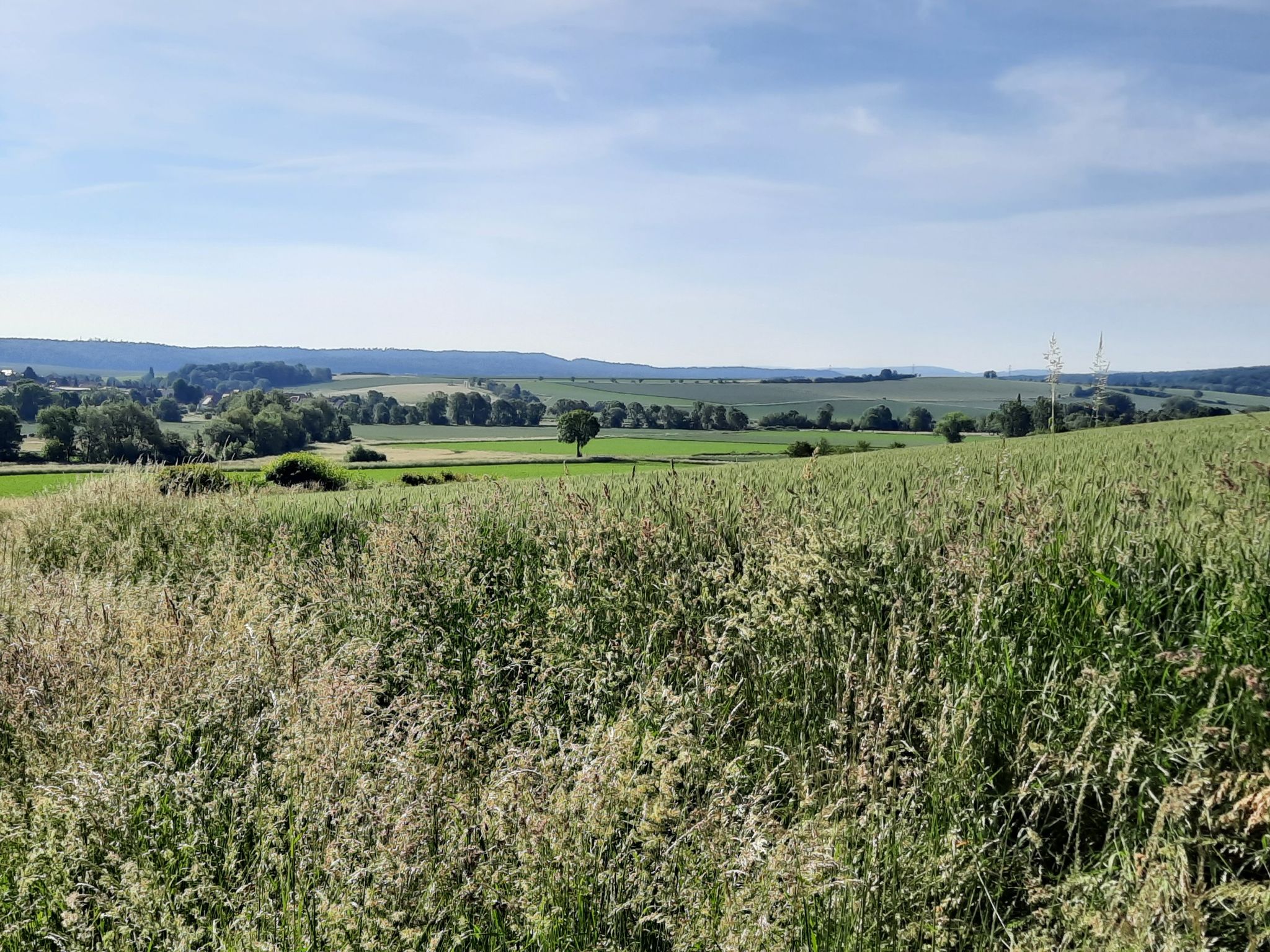 Tolle Aussicht..😀