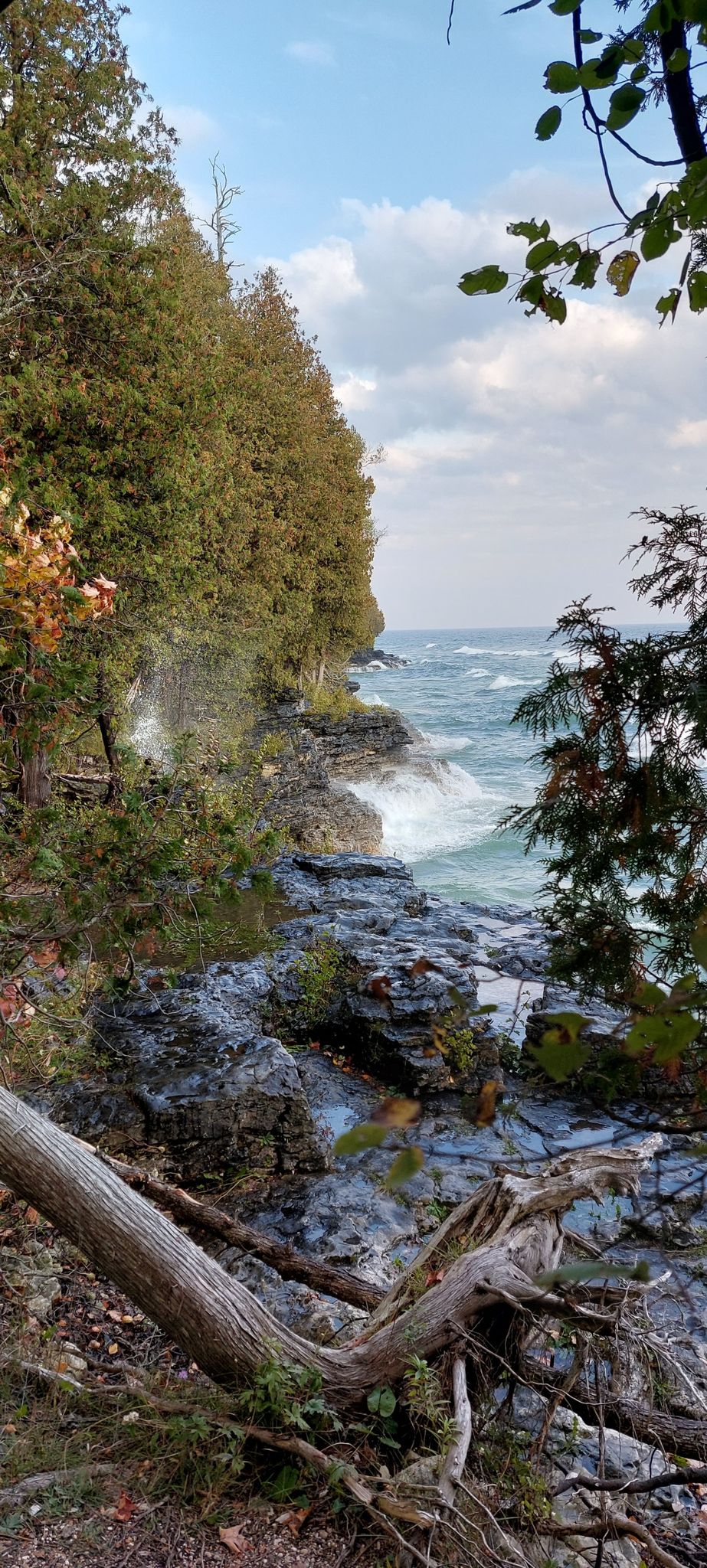 Rough water crashing against a rocky, tree-lined shore under a dramatic sky. - Cave Point – Old Baldy Overlook loop from Whitefish Dunes State Park