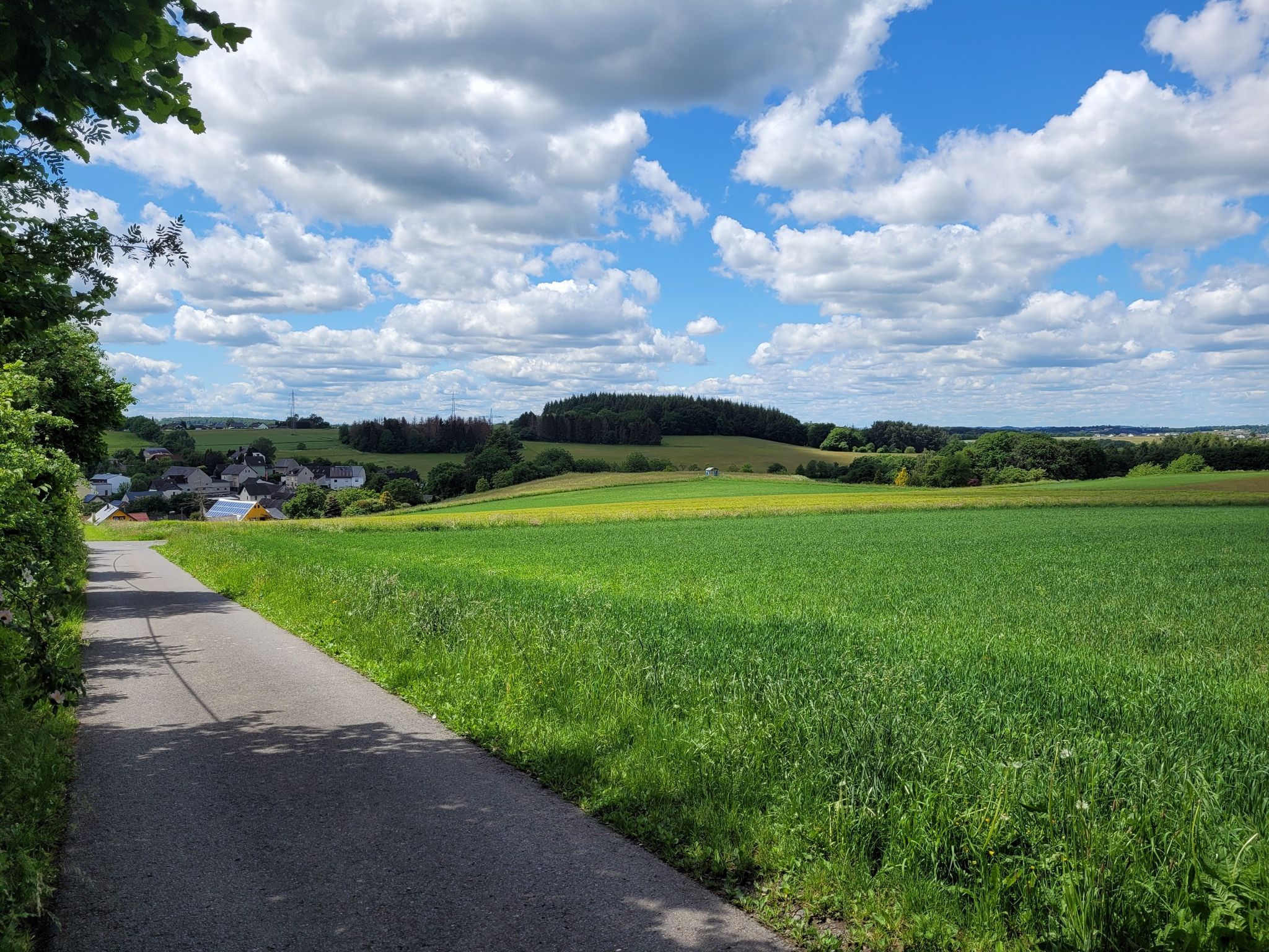 Und schon geht es ab in die Natur.
