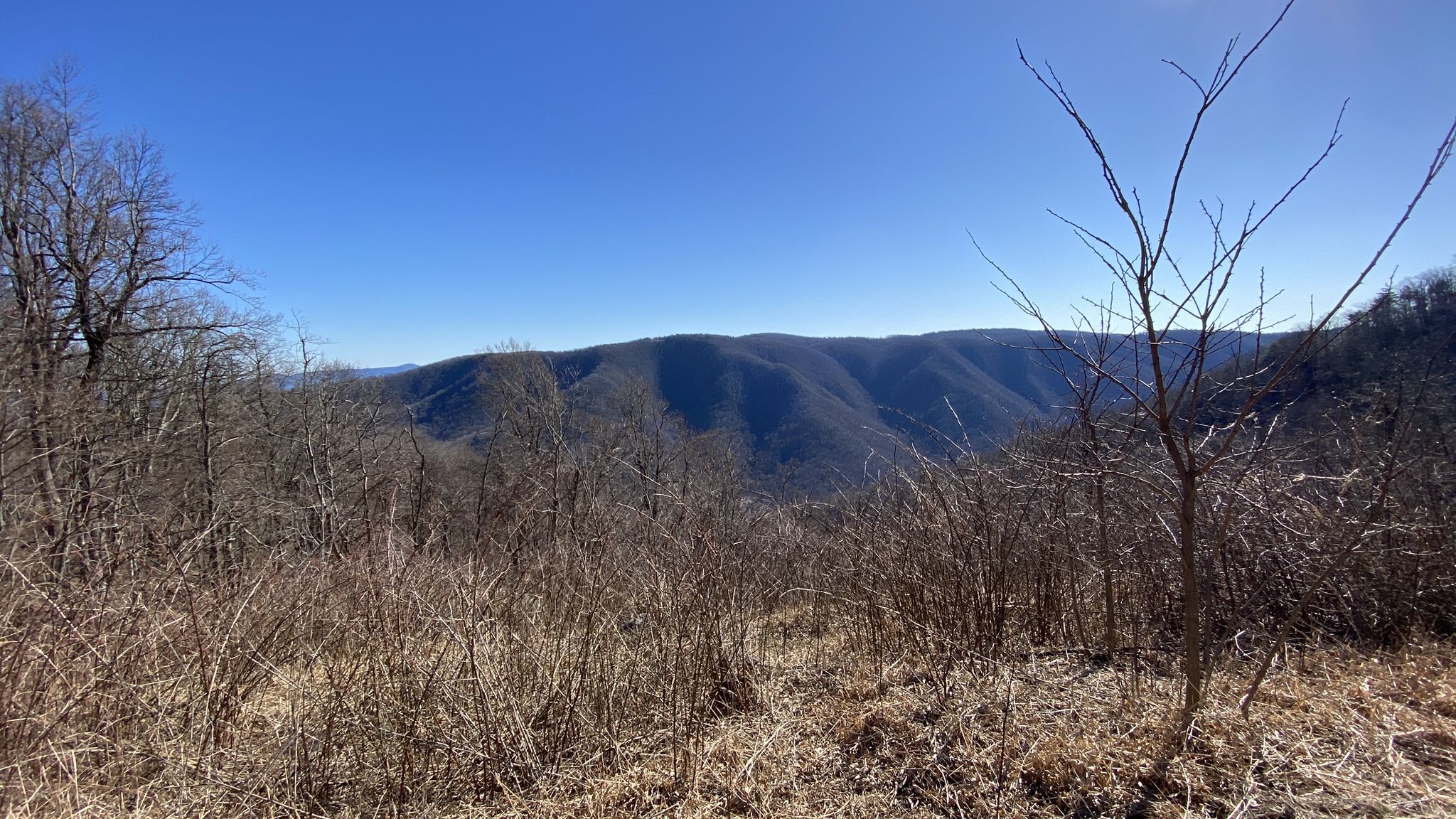 Distant mountain range seen through bare winter trees and brush under clear sky. - Black Ridge Trail