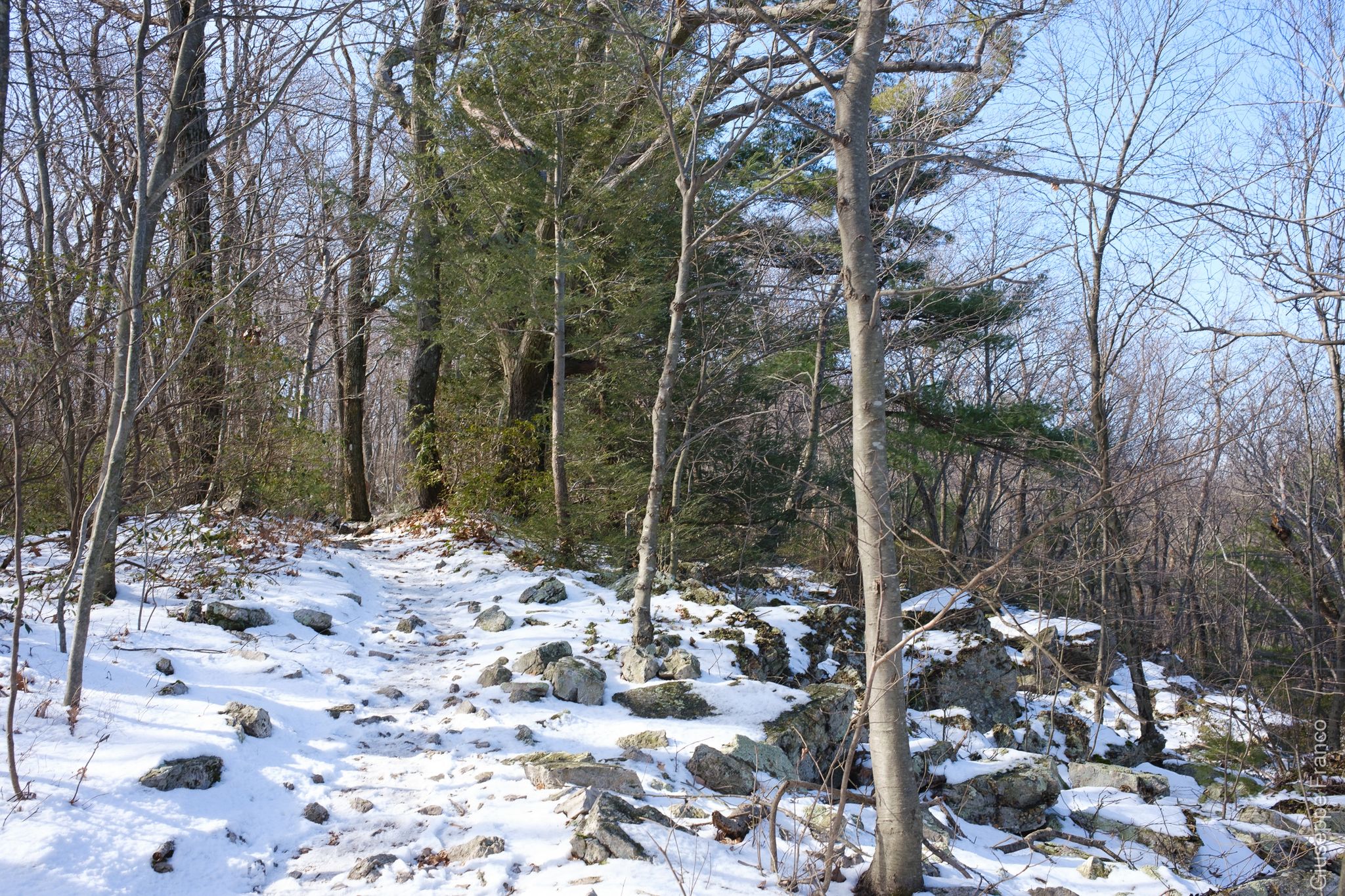 A snowy, rocky forest path with bare trees under a bright winter sky. - Pulpit Rock and The Pinnacle Loop
