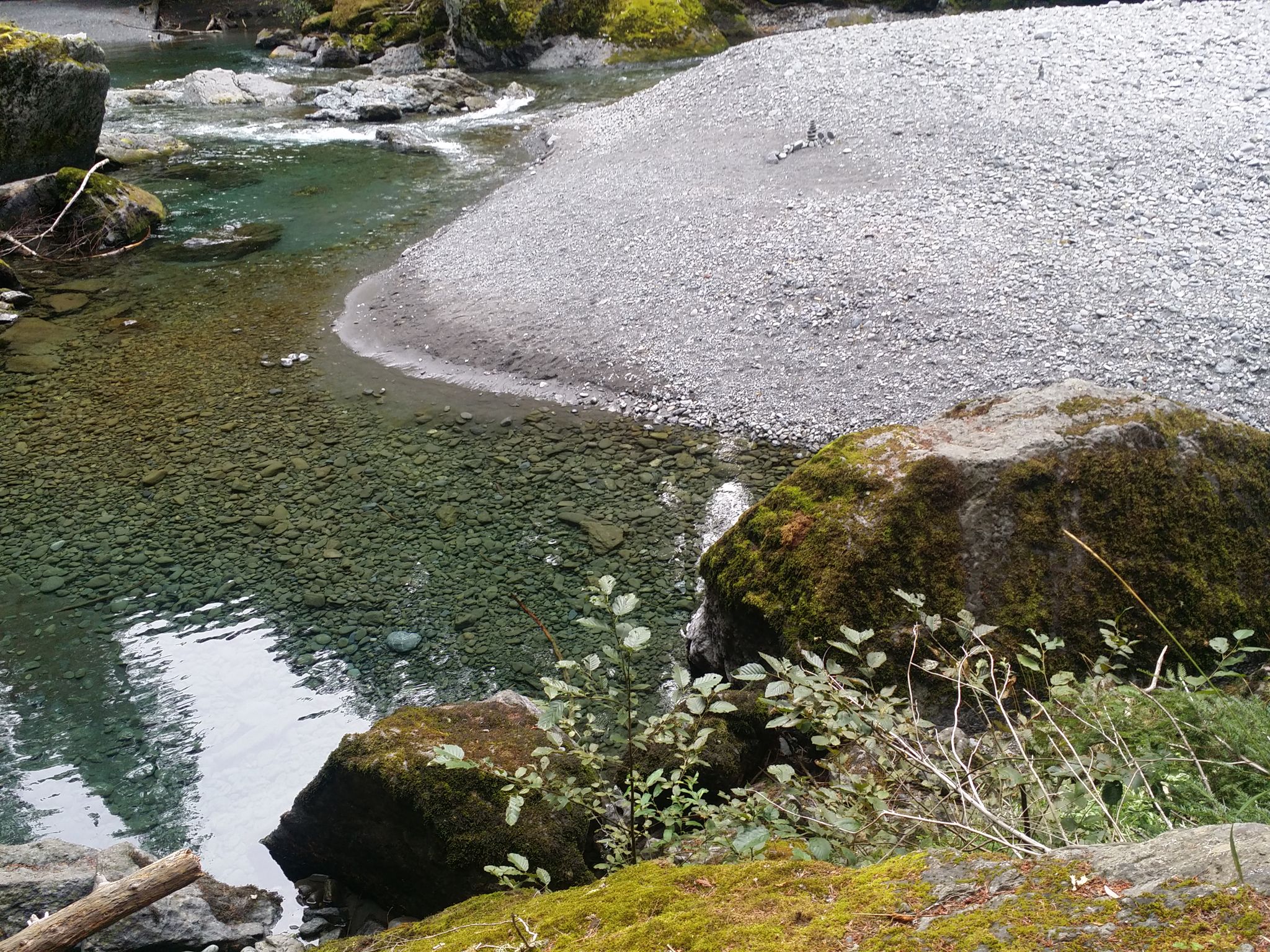 Close-up of clear river water next to a gravel bar and moss-covered rocks. - North Fork Skokomish River Trail