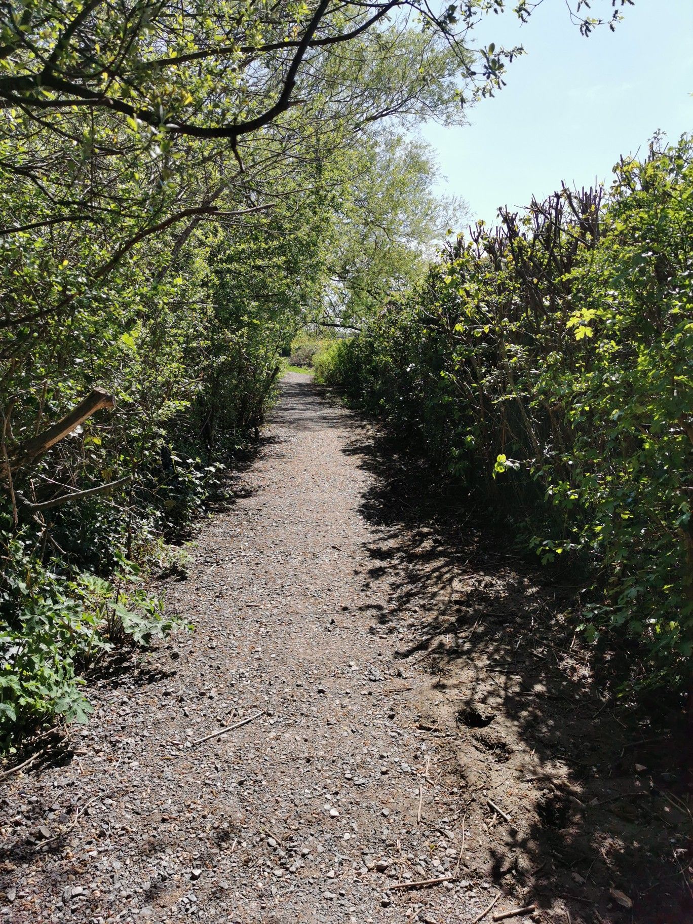 Path I didn't know existed 🤣