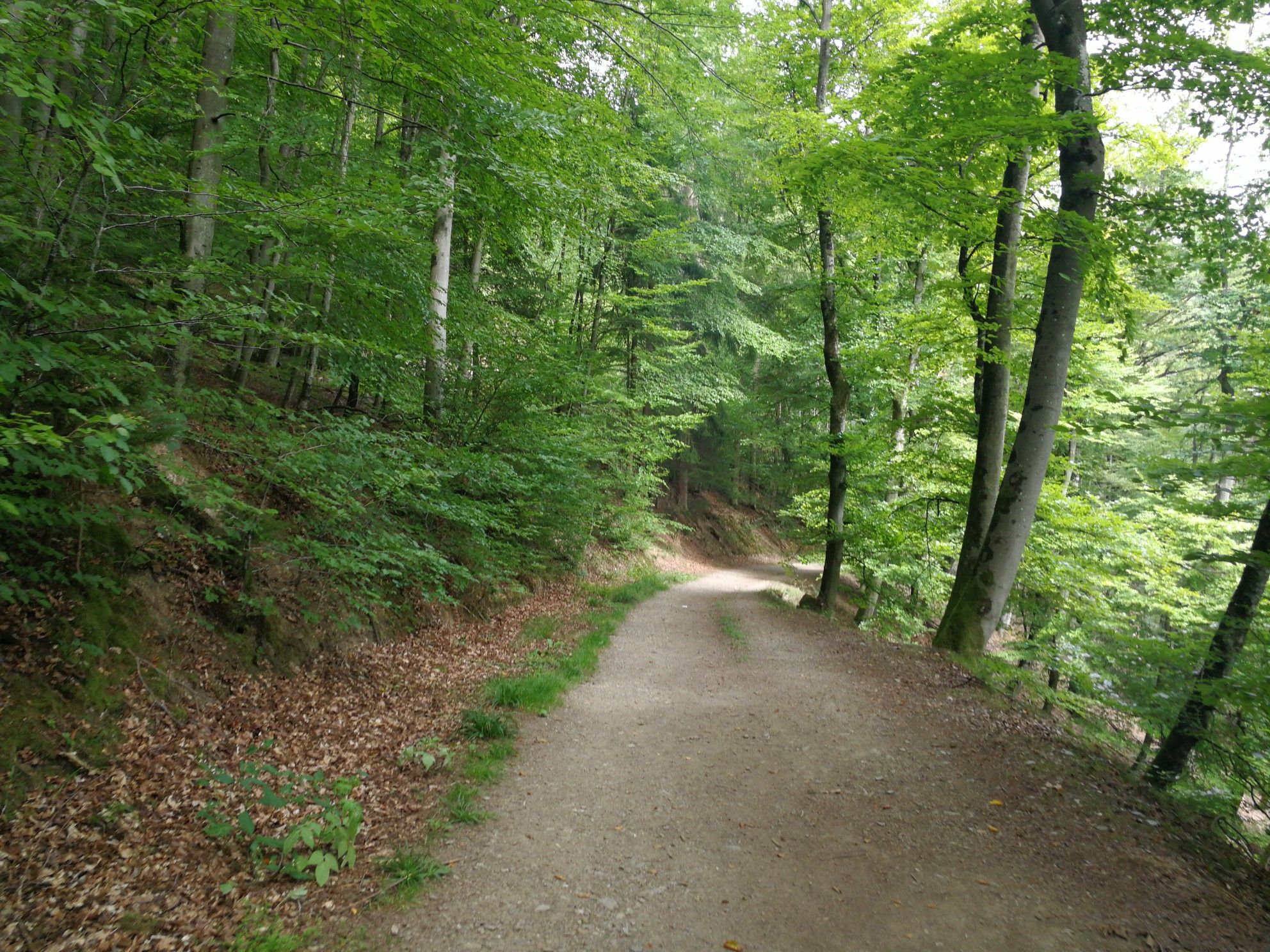 Wanderweg