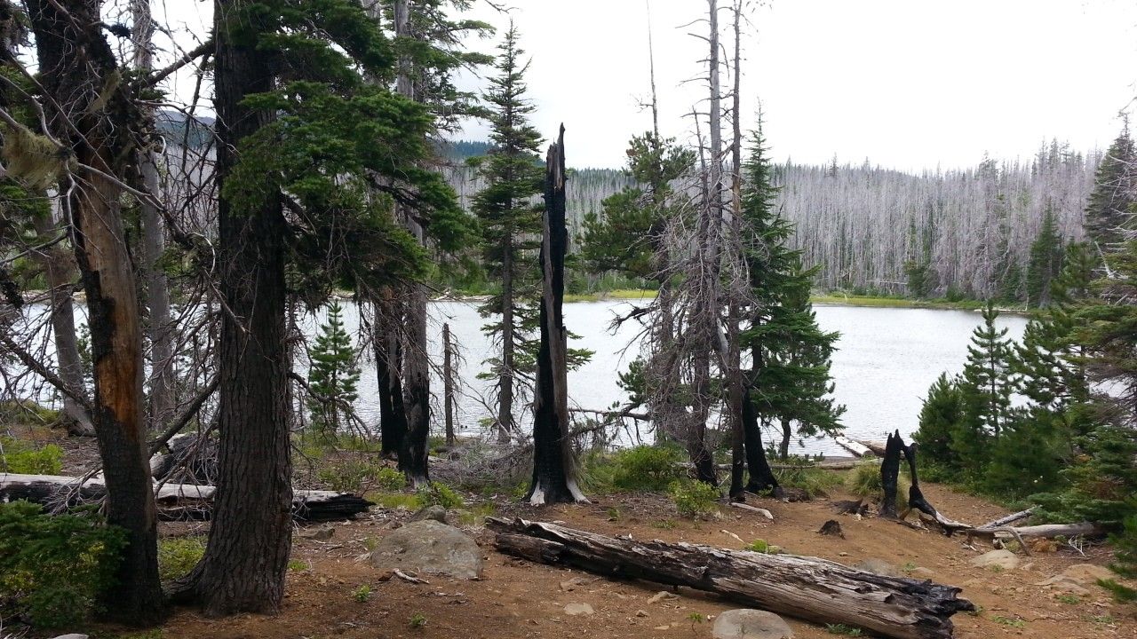 Overcast view of a lake surrounded by burnt and green forest trees. - Wasco Lake Trail