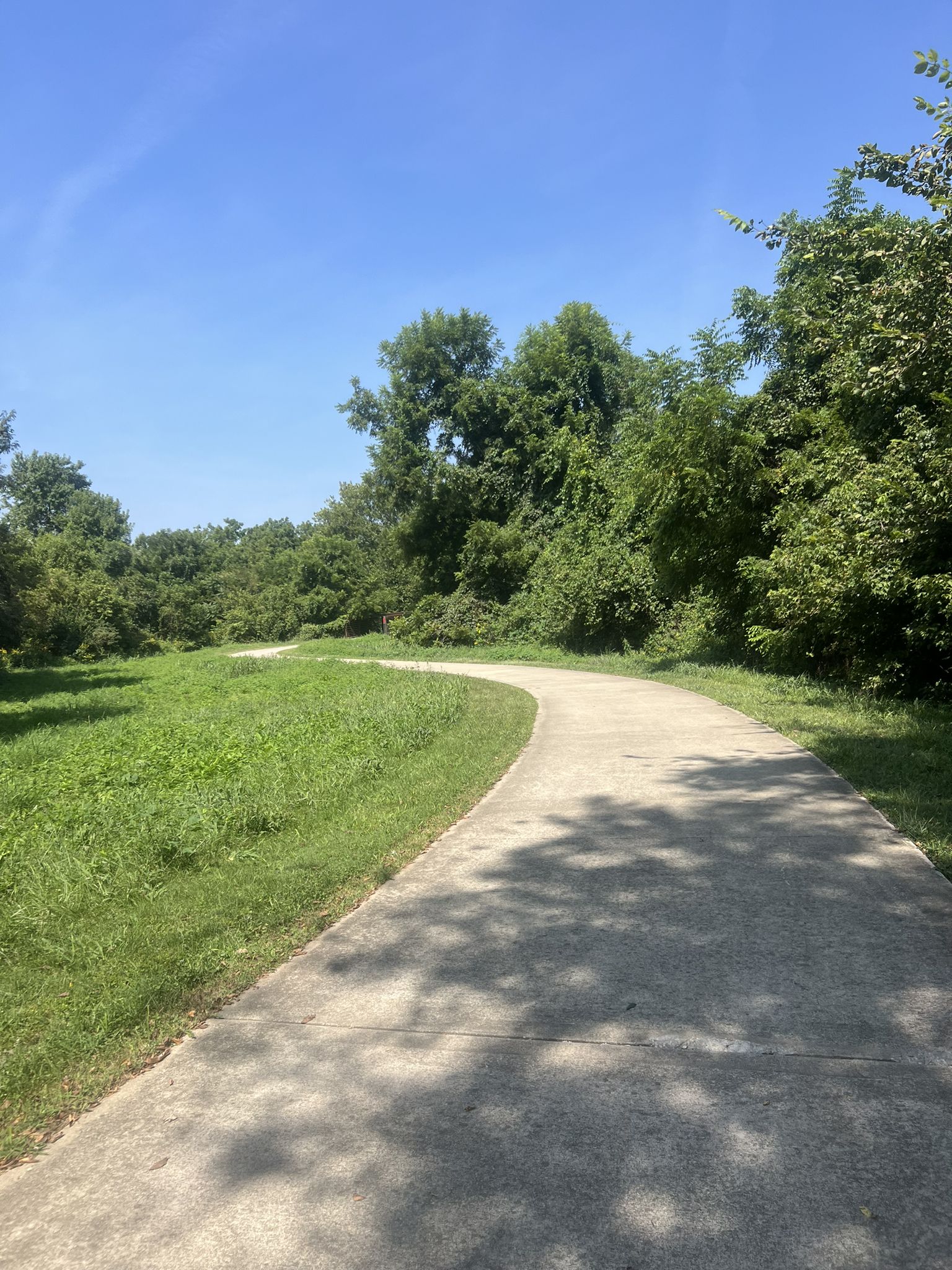 A paved path curves through a sunny, green landscape with trees. - Tomahawk Creek Trail