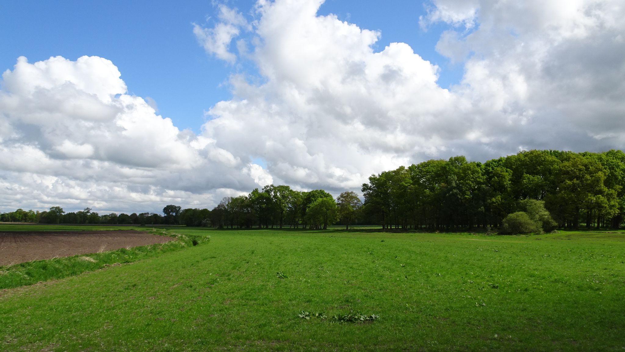 Mittelsdorfer Weg