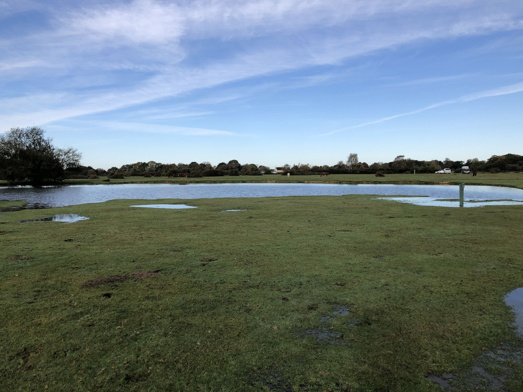 Janesmoor Pond
