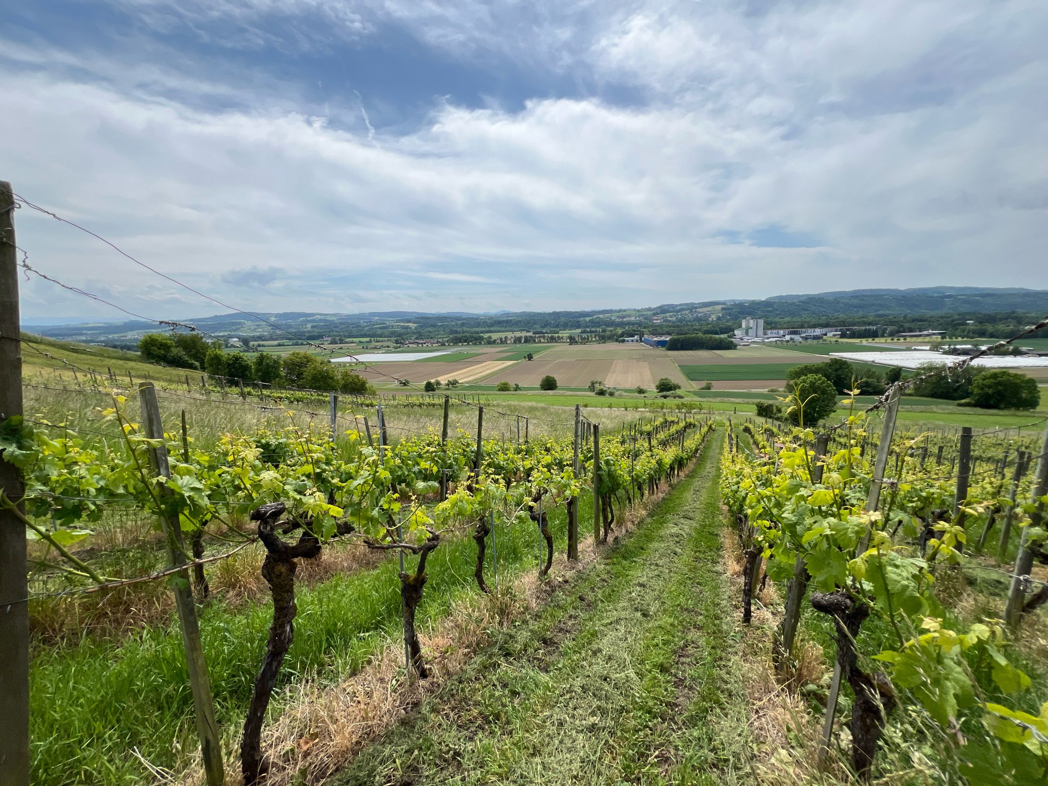 Blick von Ottoberg nach Märstetten runter.