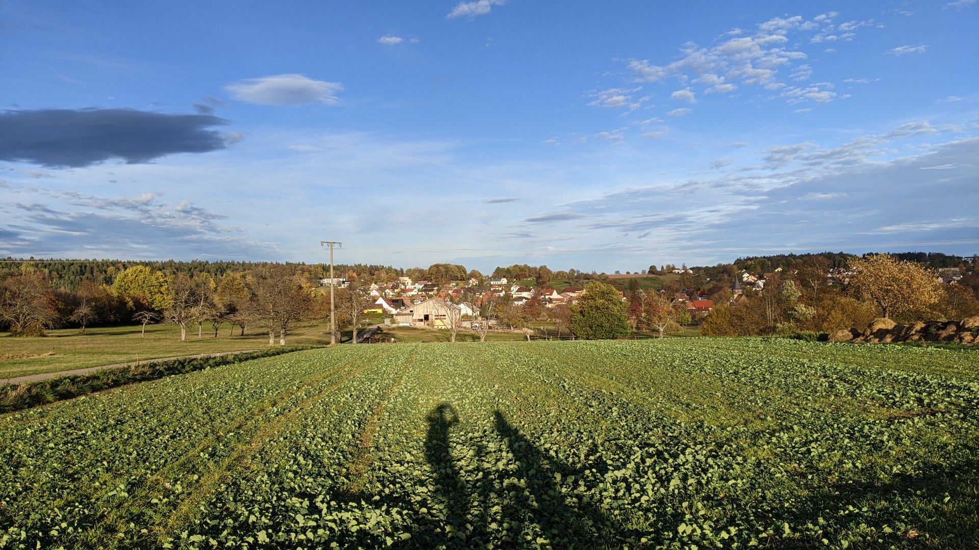 Abendsonne bei Engelsbrand