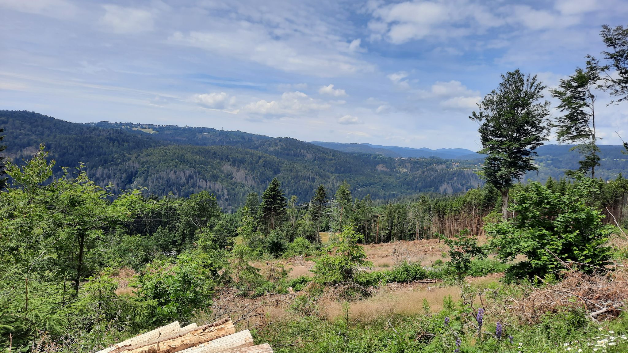 Blick nach Höchenschwand