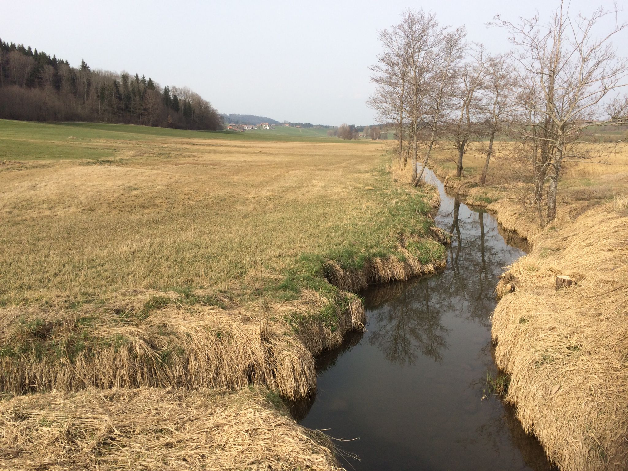 Leubastal vor Wildpoldsried