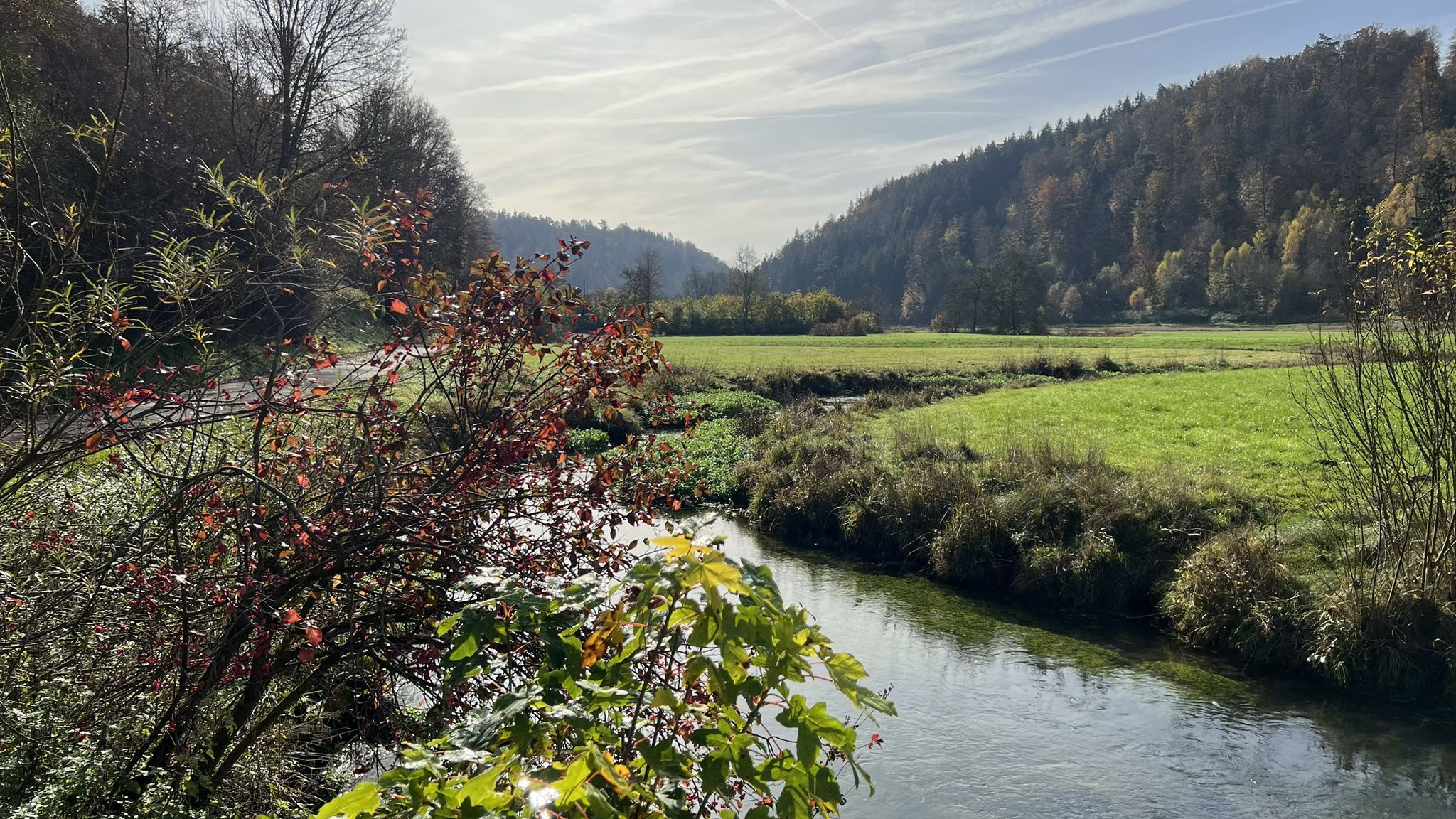 Leute..besser geht es nicht..was für ein Augenschmaus..der Schnitt 🚴‍♂️ fällt permanent..