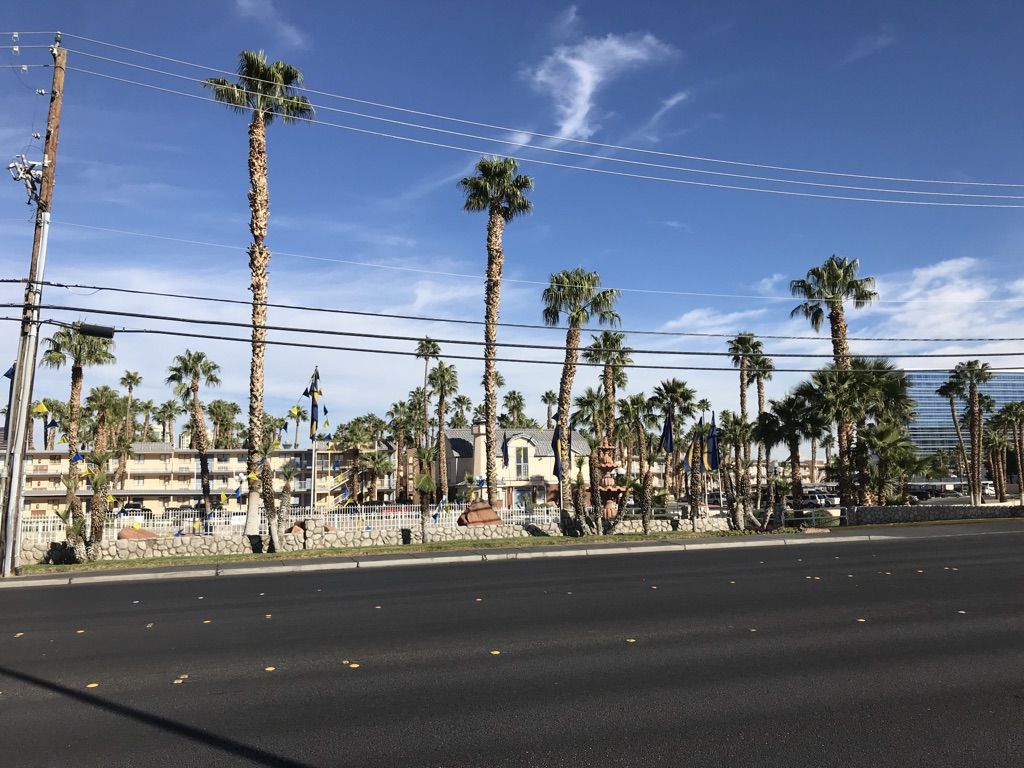 Roadside view of tall palm trees, buildings, and power lines under blue sky. - Southeast Vegas loop