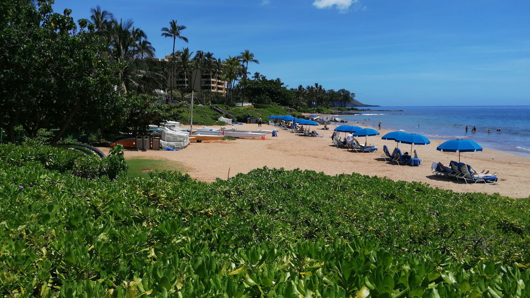 Sunny beach with blue umbrellas, palm trees, and ocean under bright sky. - Wailea Oceanfront Boardwalk Trail