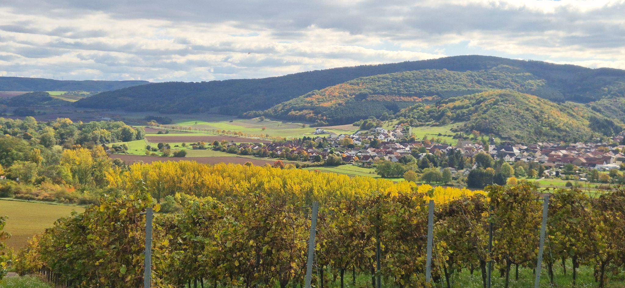 Auf dem Weilerer Kirschenweg