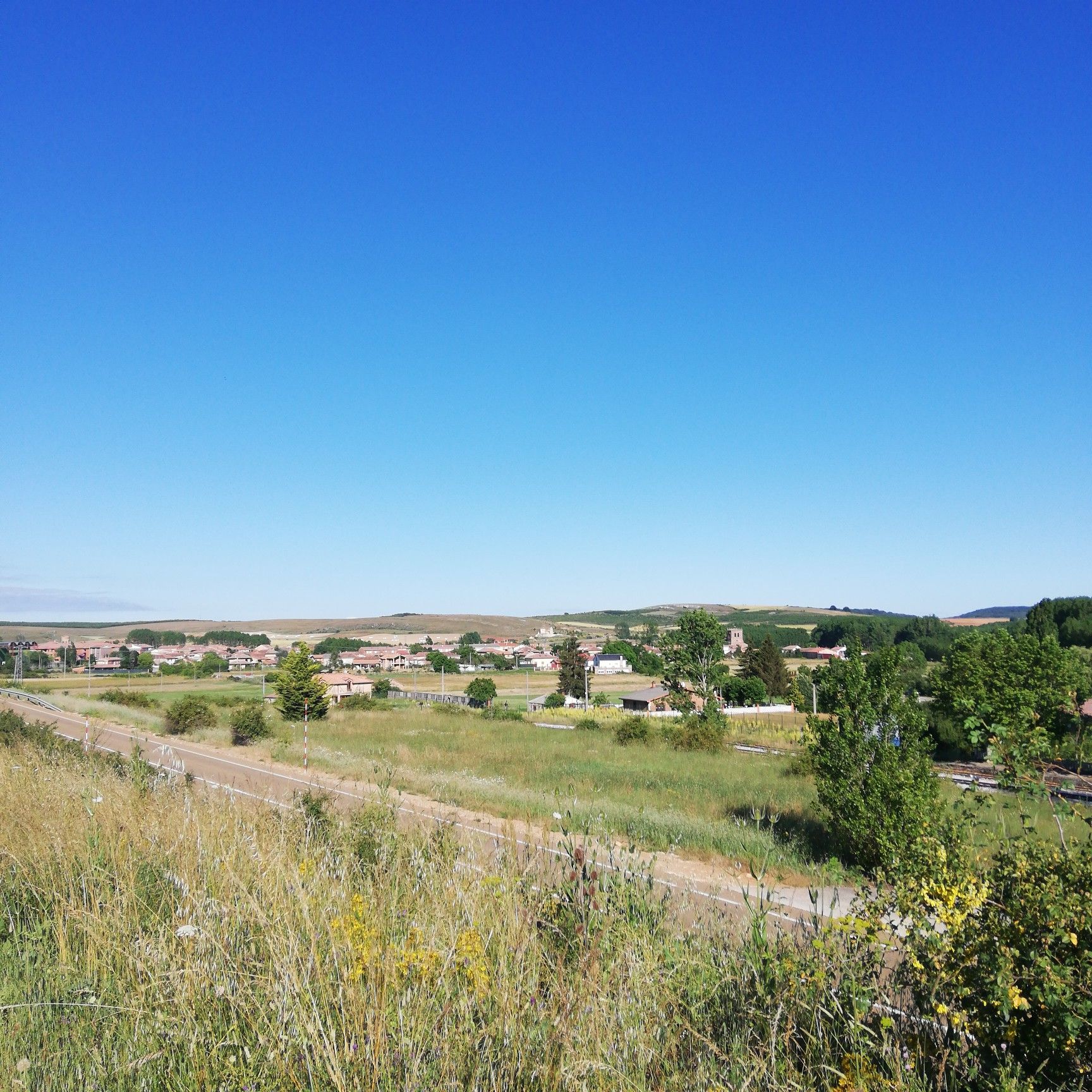 Salinas